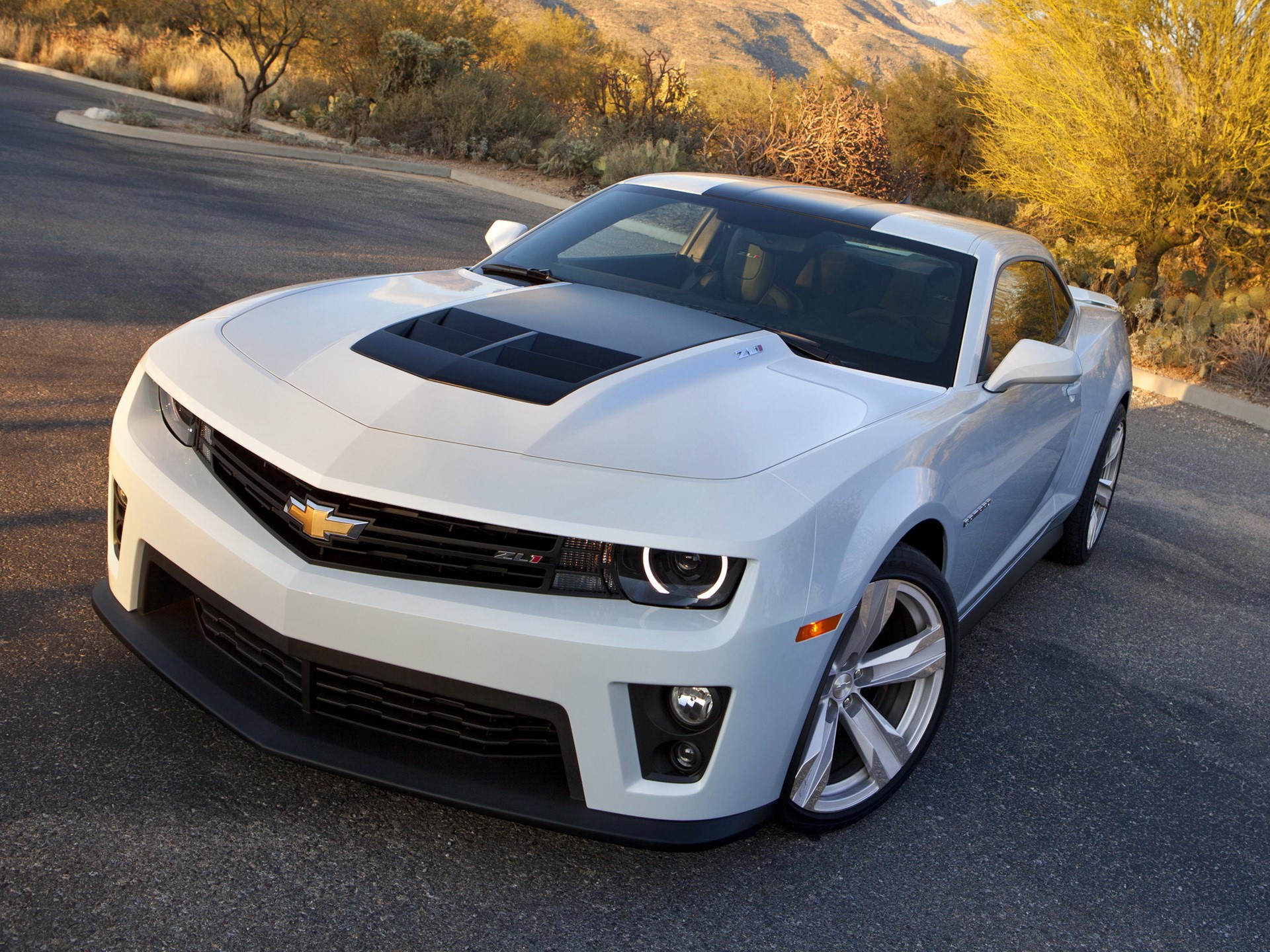 White Chevrolet Camaro ZL1 parked on a road HD Wallpaper