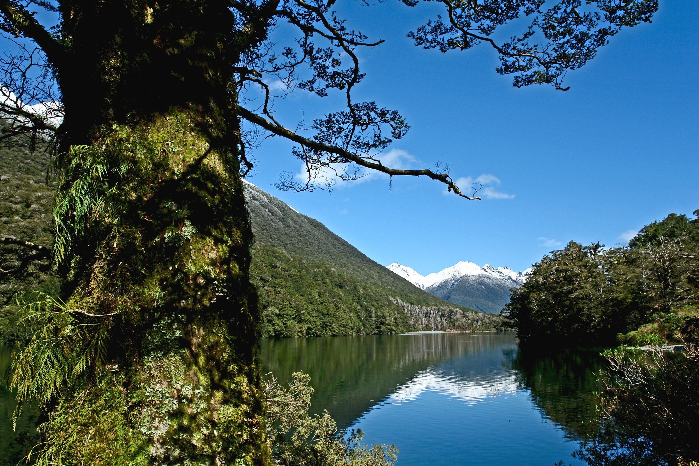 Lake Fergus Fiordland National Park HD Wallpaper