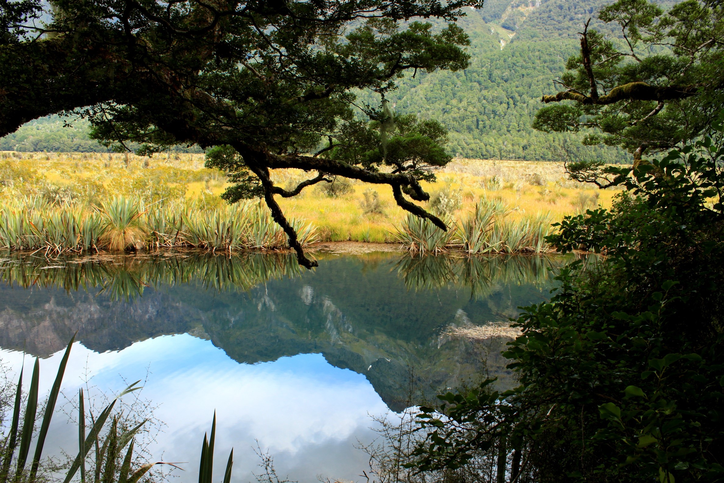 Reflection of mountains in a lake in Fiordland National Park HD Wallpaper