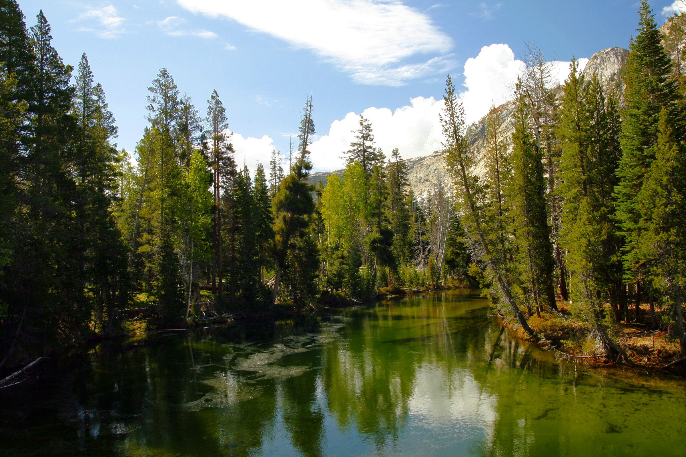 Tuolumne River in Yosemite National Park HD Wallpaper