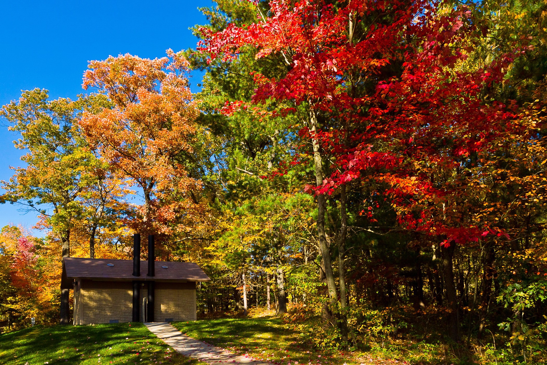 Autumn forest with a small building HD Wallpaper