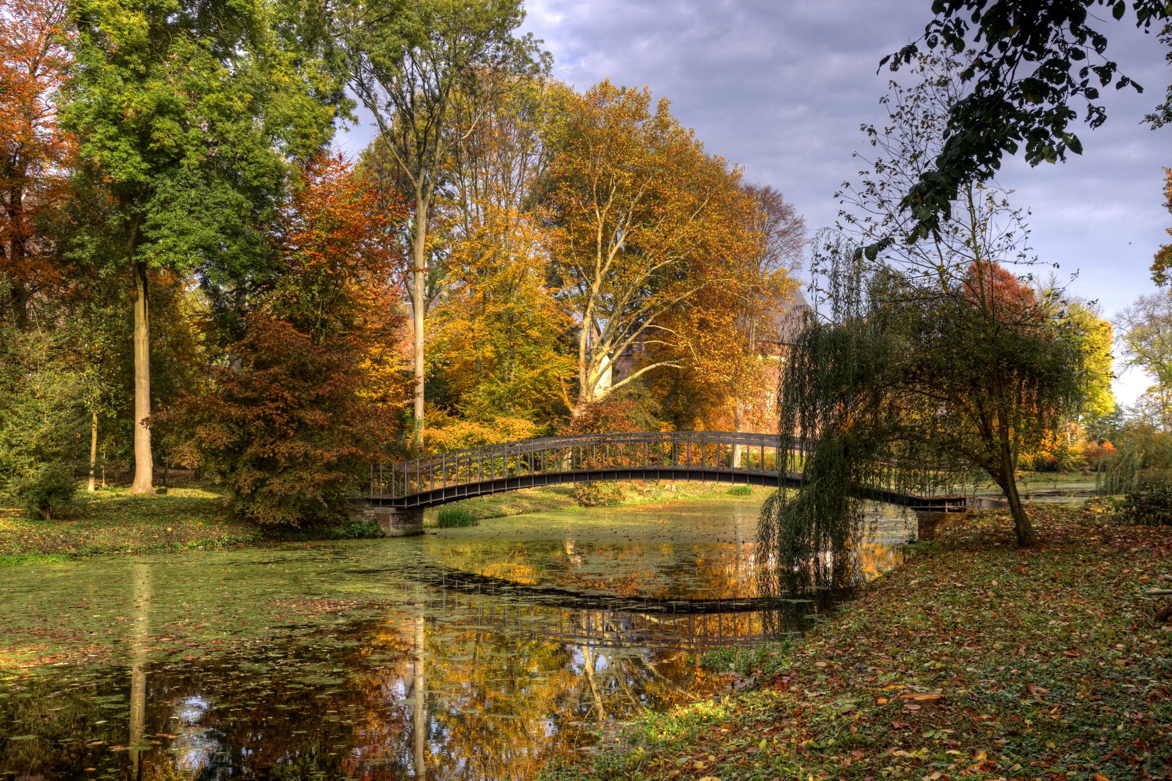 Autumn park with a bridge over a pond HD Wallpaper