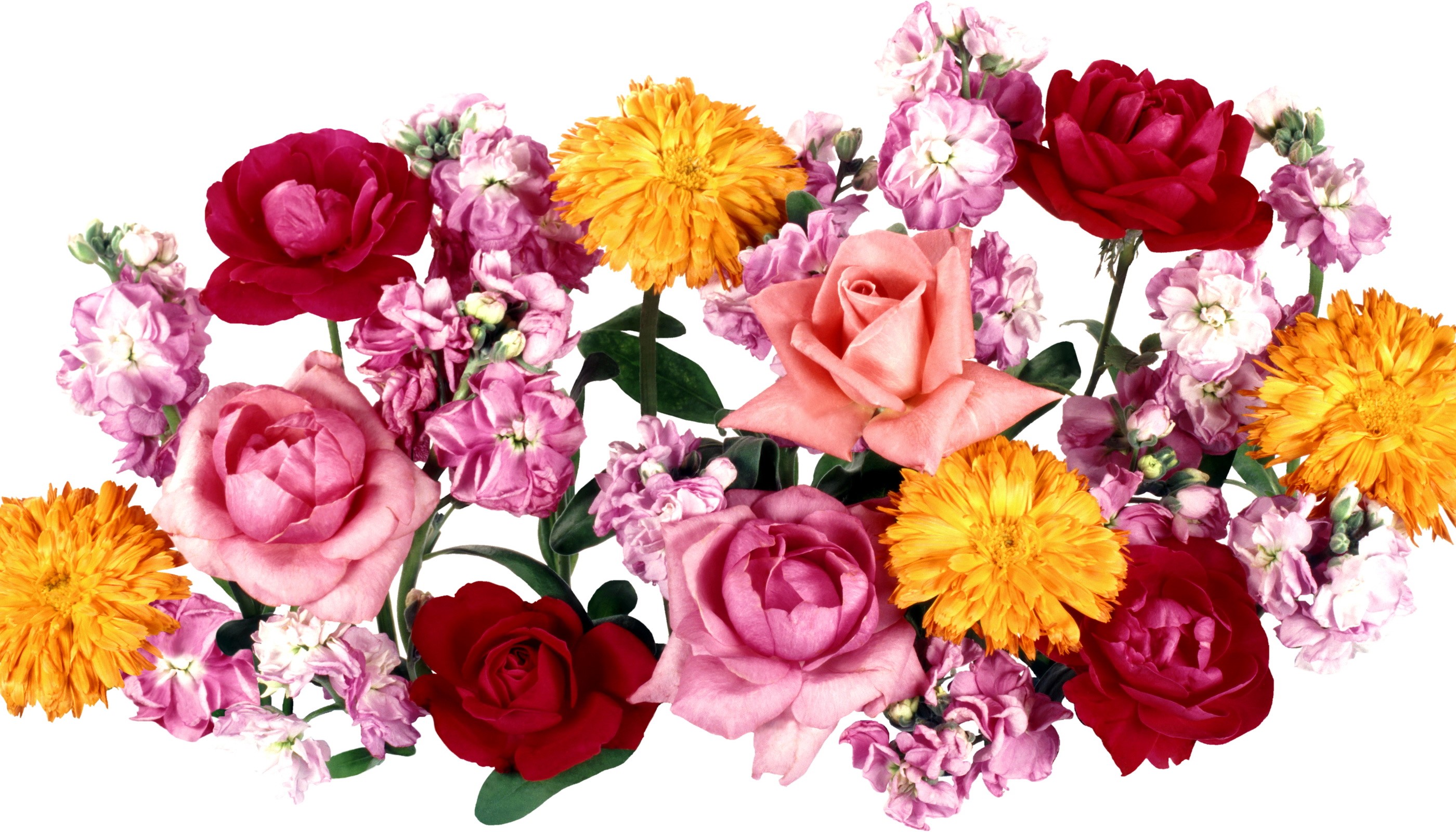 Bouquets of Roses and Marigolds HD Wallpaper