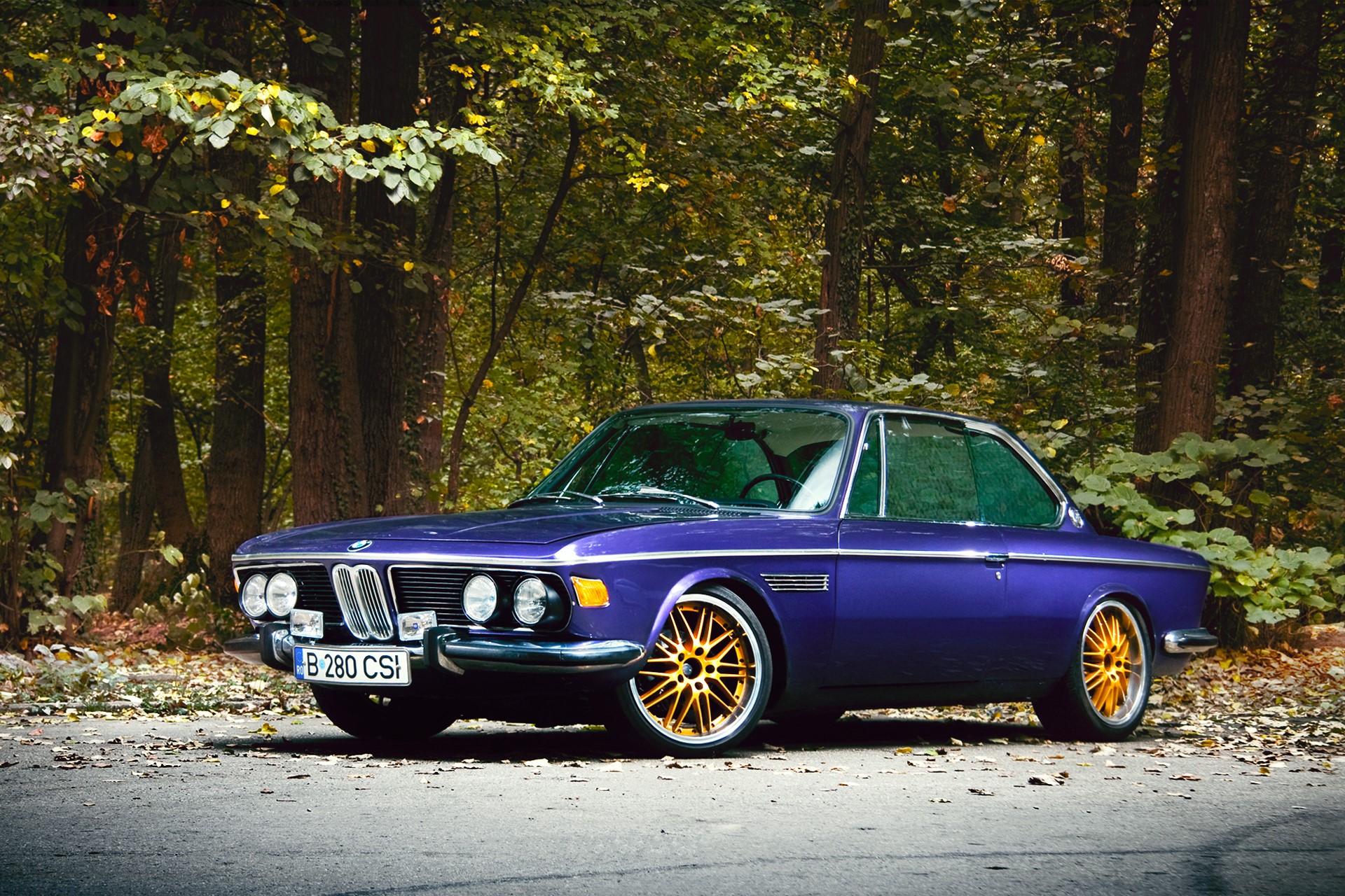 Purple BMW 3.0 CS parked in a forest HD Wallpaper