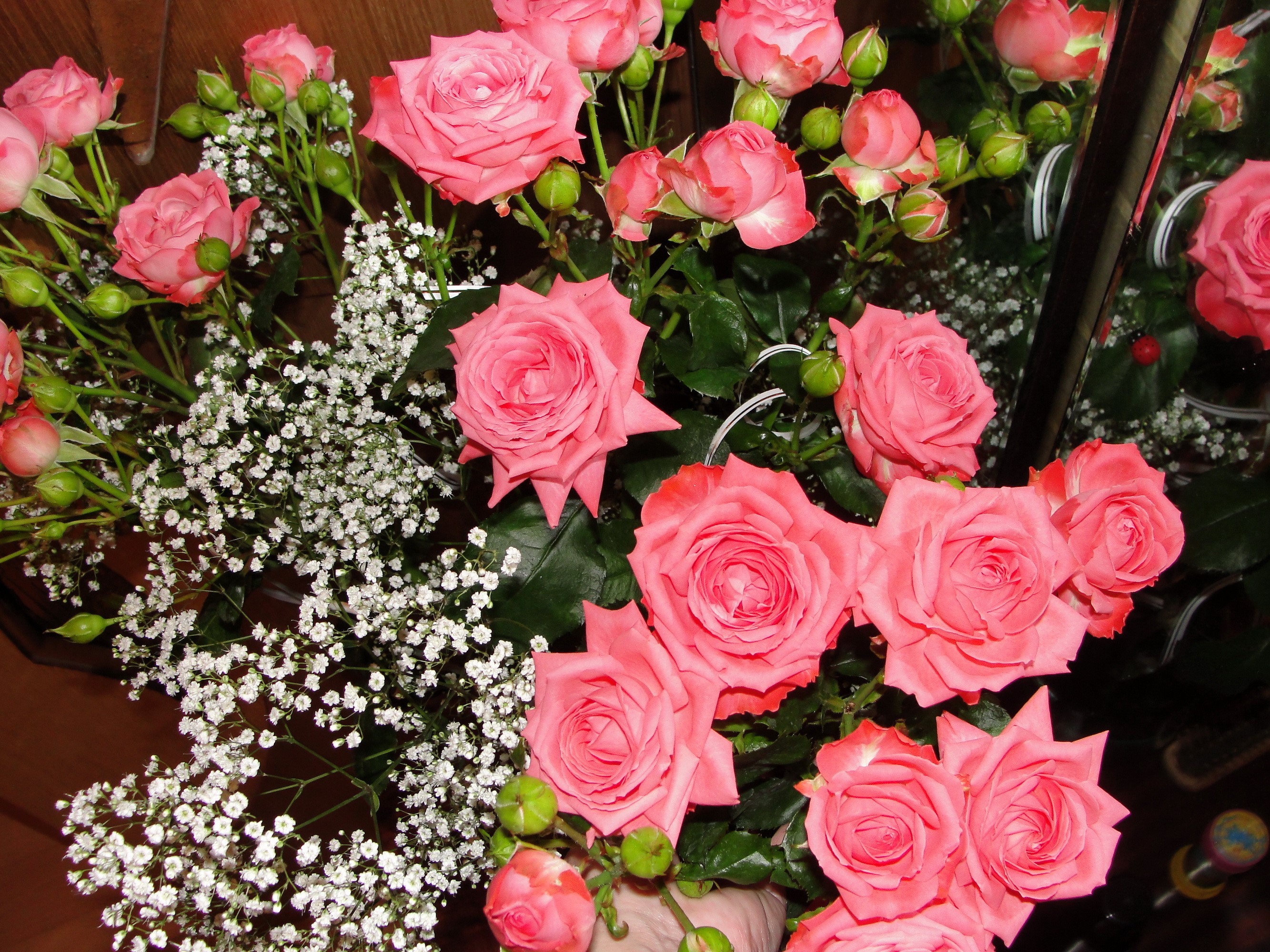 Pink roses and baby's breath bouquet HD Wallpaper