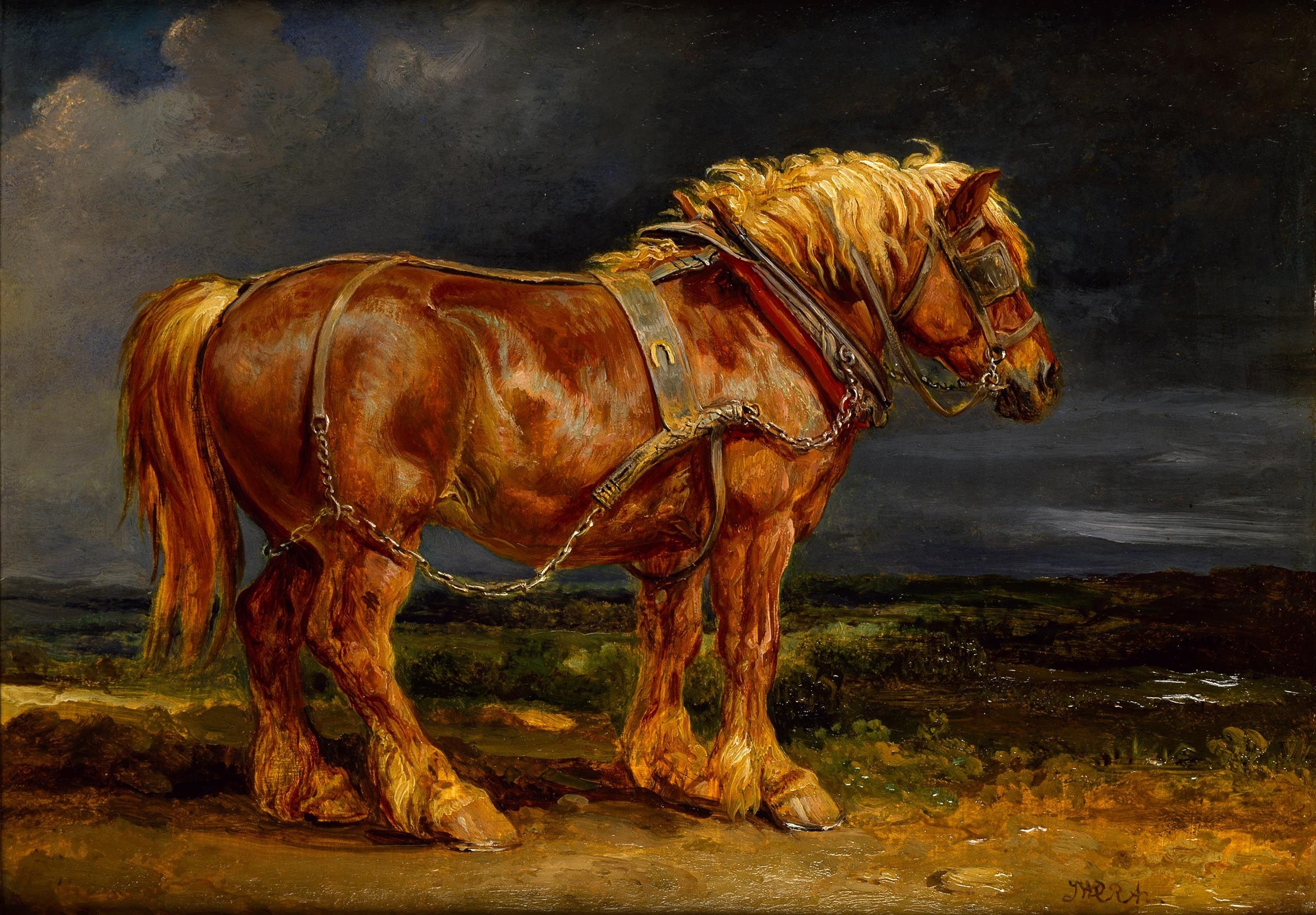 Brown horse with harness in a landscape HD Wallpaper