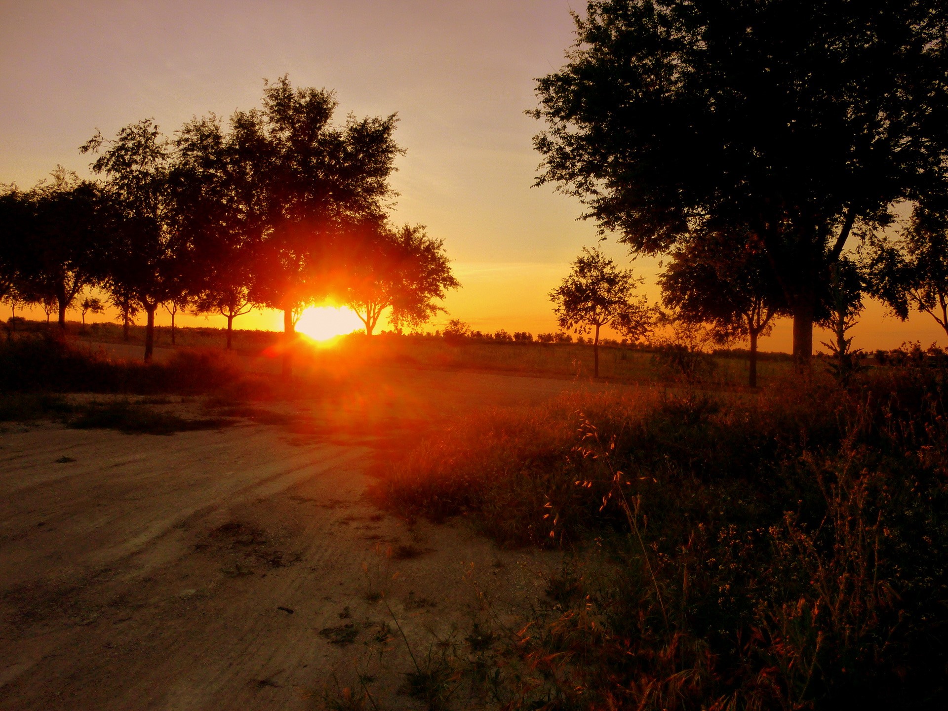 Sunset over a dirt road with trees HD Wallpaper