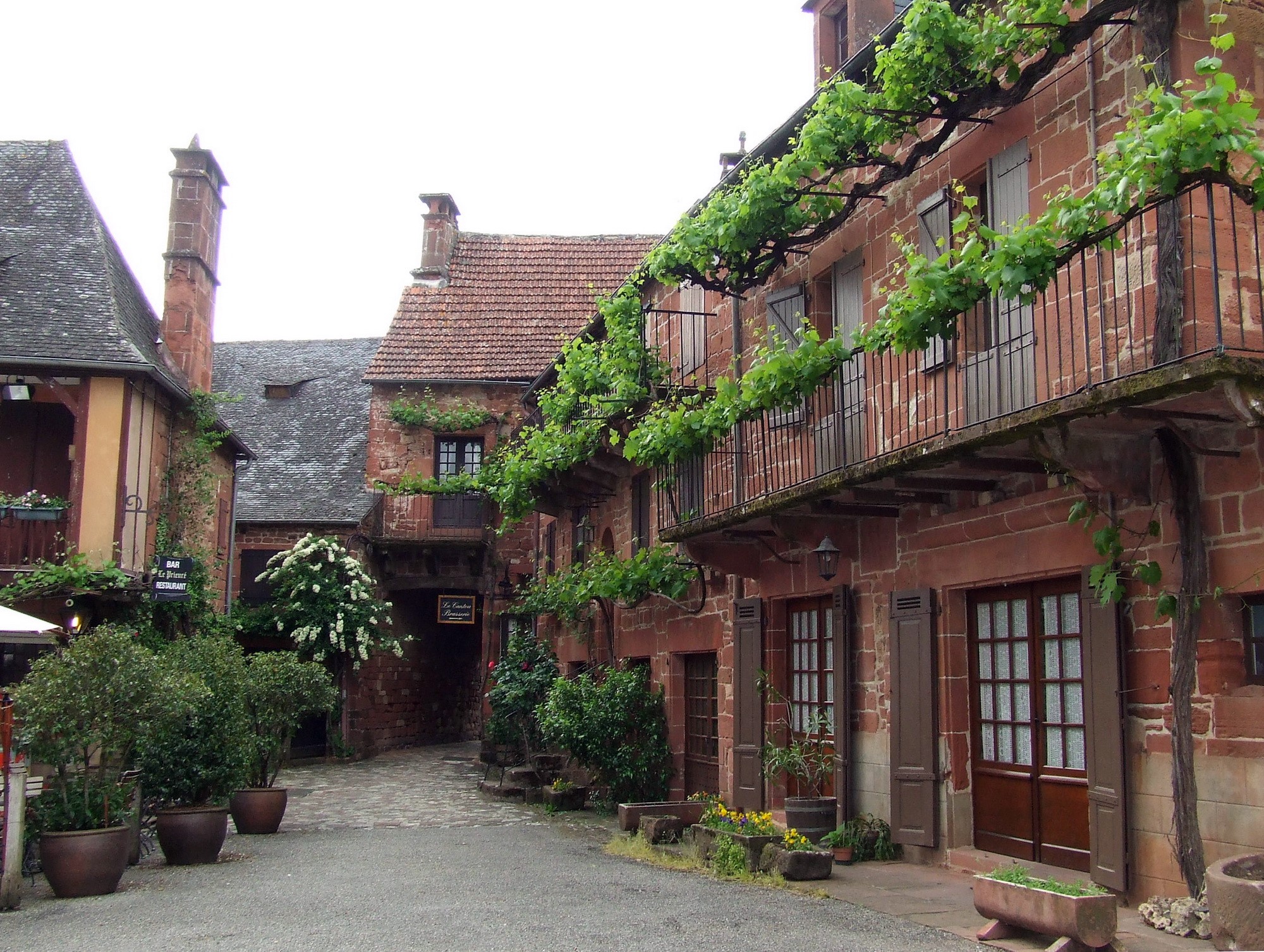 Stone buildings with vines in a European village HD Wallpaper
