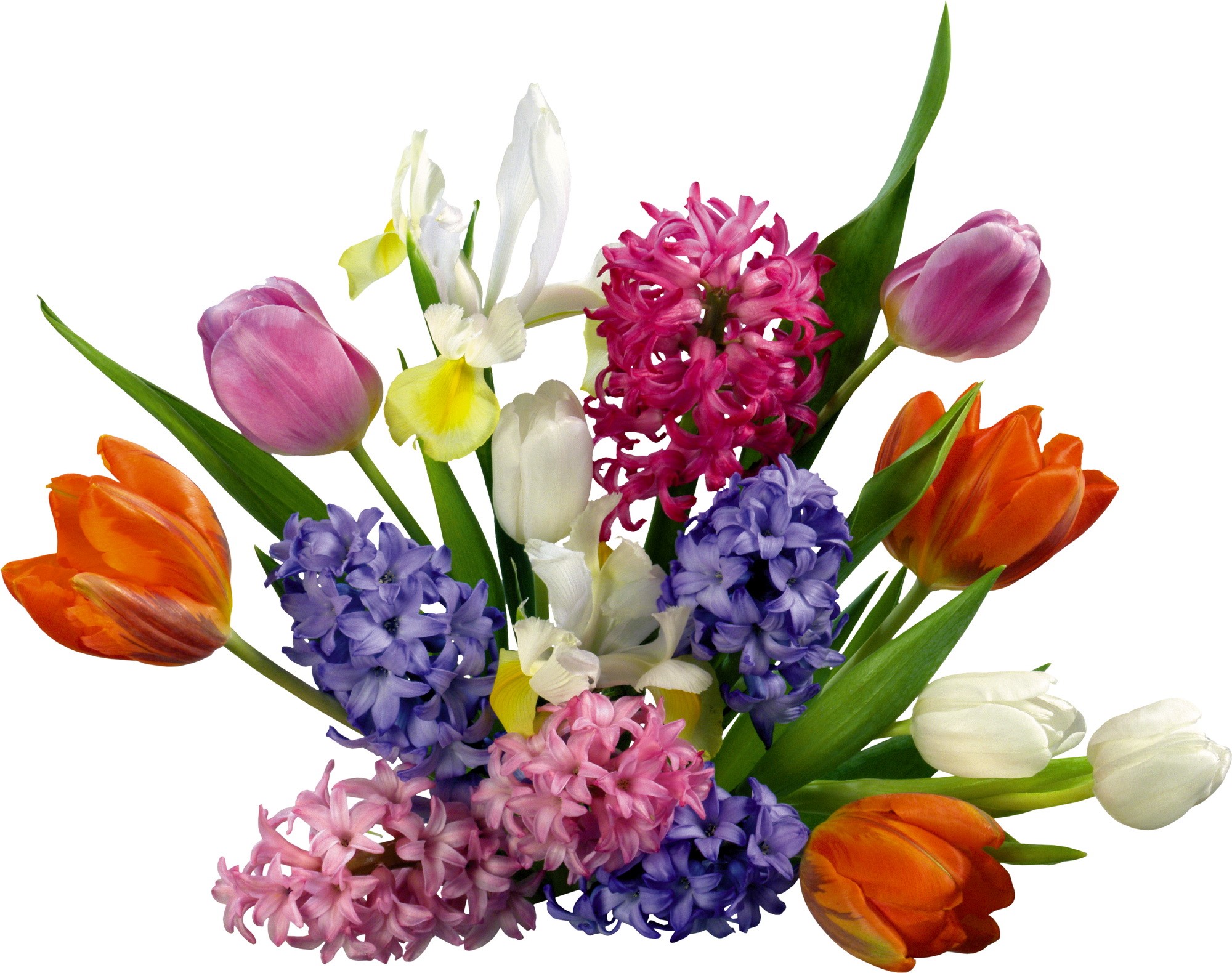 Bouquet of Tulips and Hyacinths HD Wallpaper