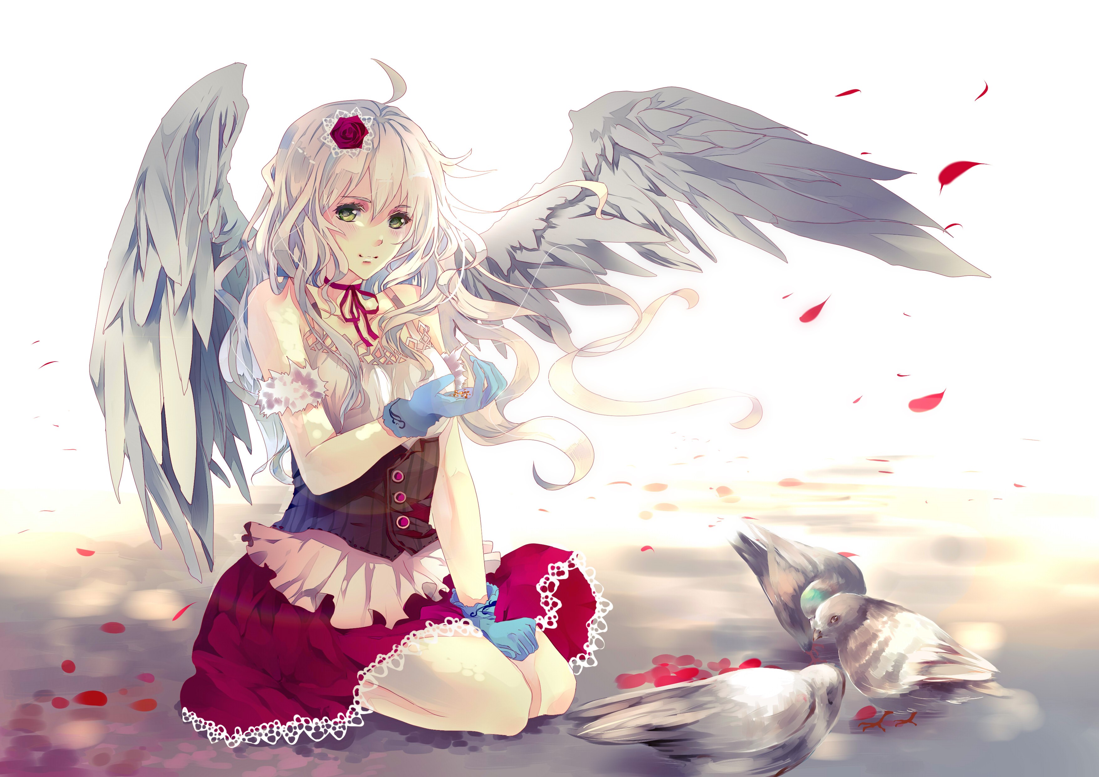 Angel girl with white wings and pigeons HD Wallpaper