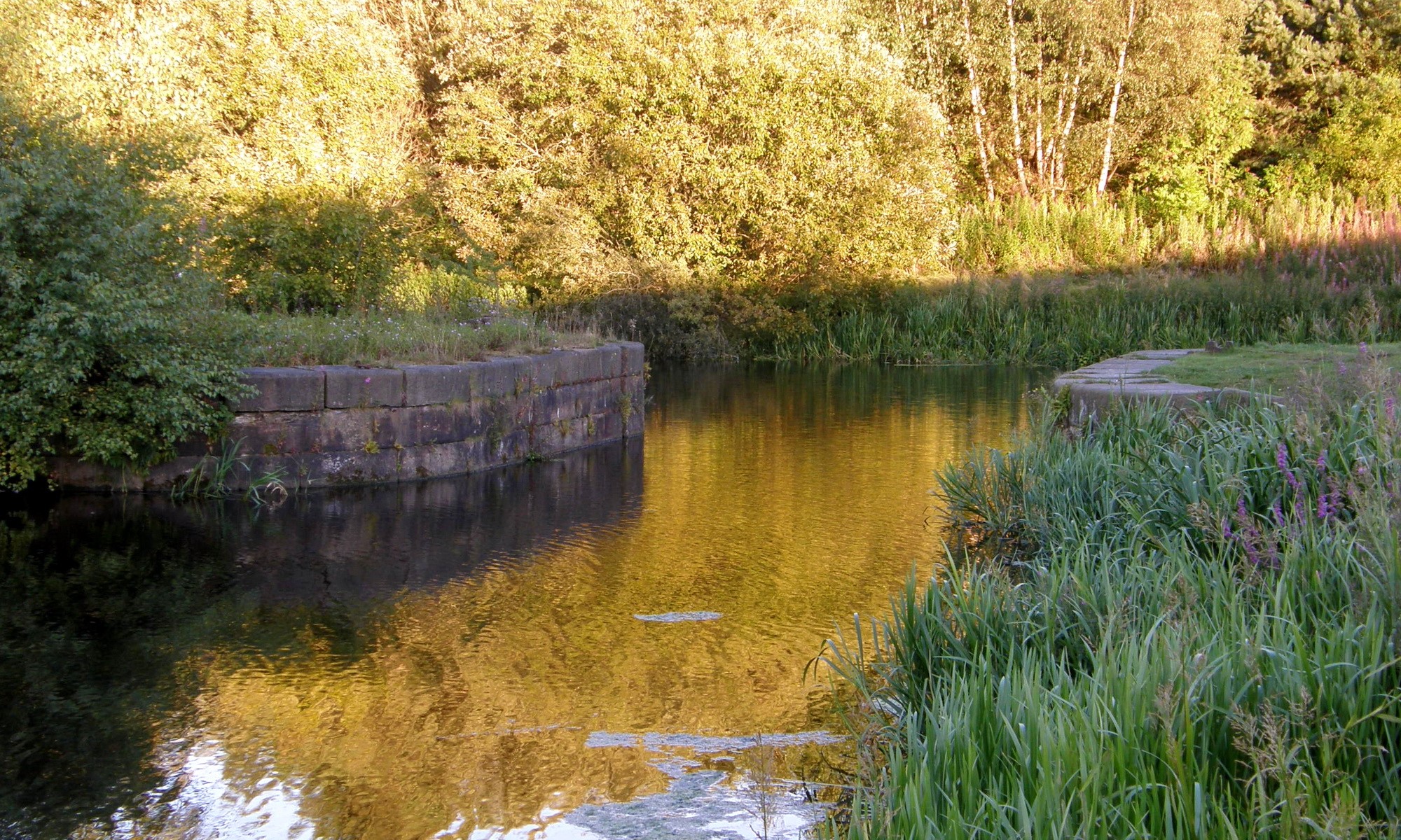 Canal with stone embankment and trees HD Wallpaper
