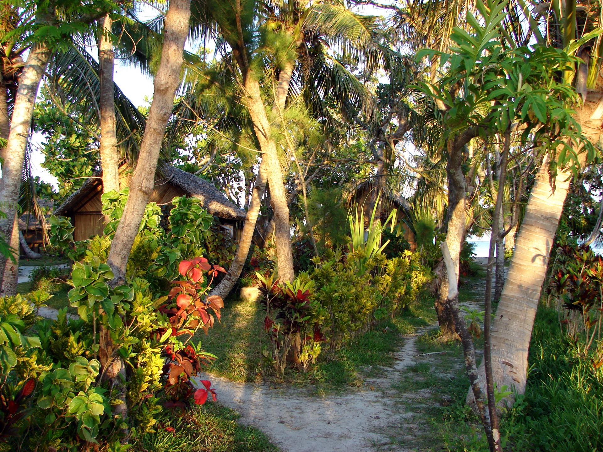 Tropical resort with bungalows and palm trees HD Wallpaper