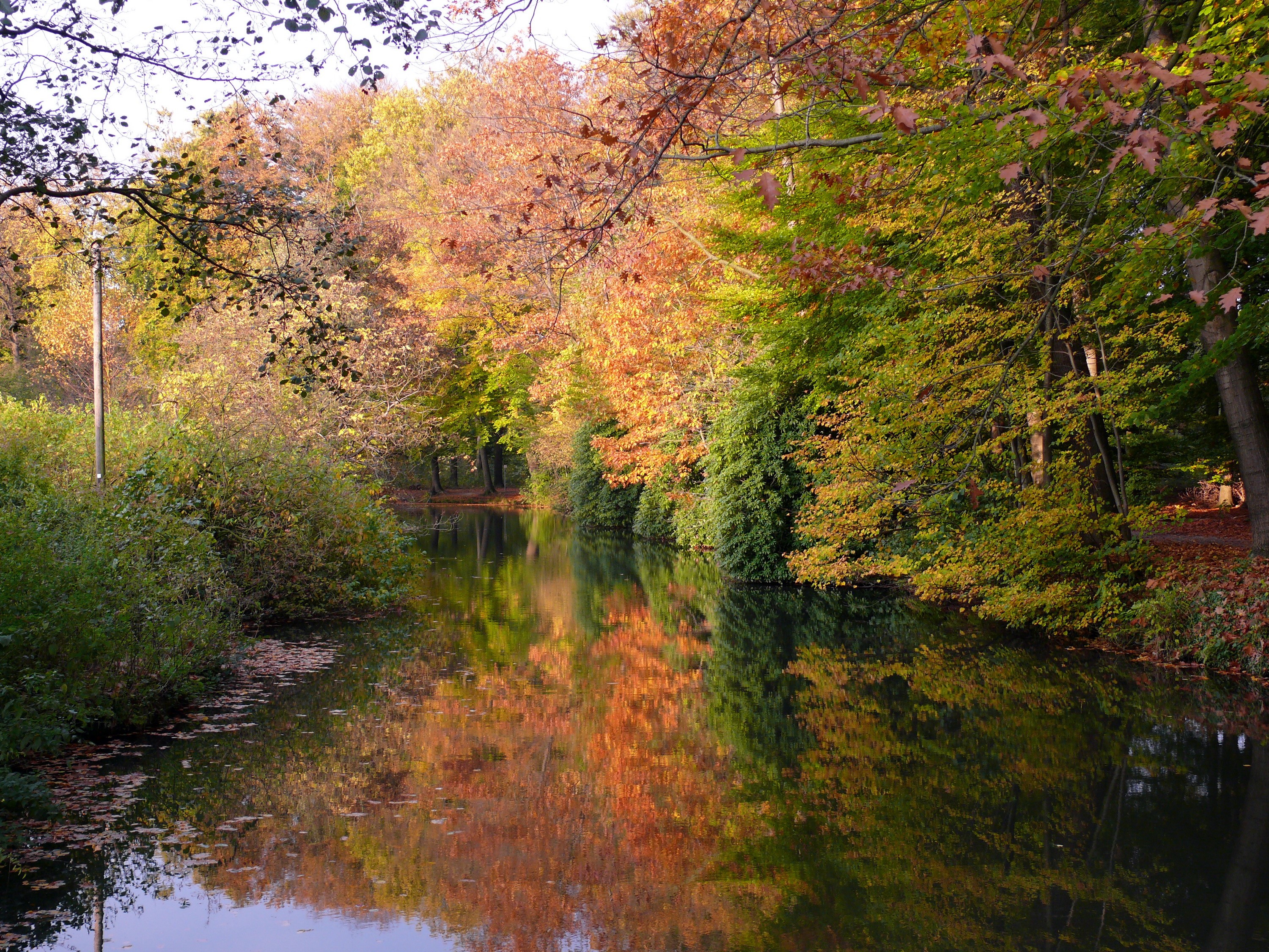 Autumn trees reflected in a calm lake in Germany HD Wallpaper