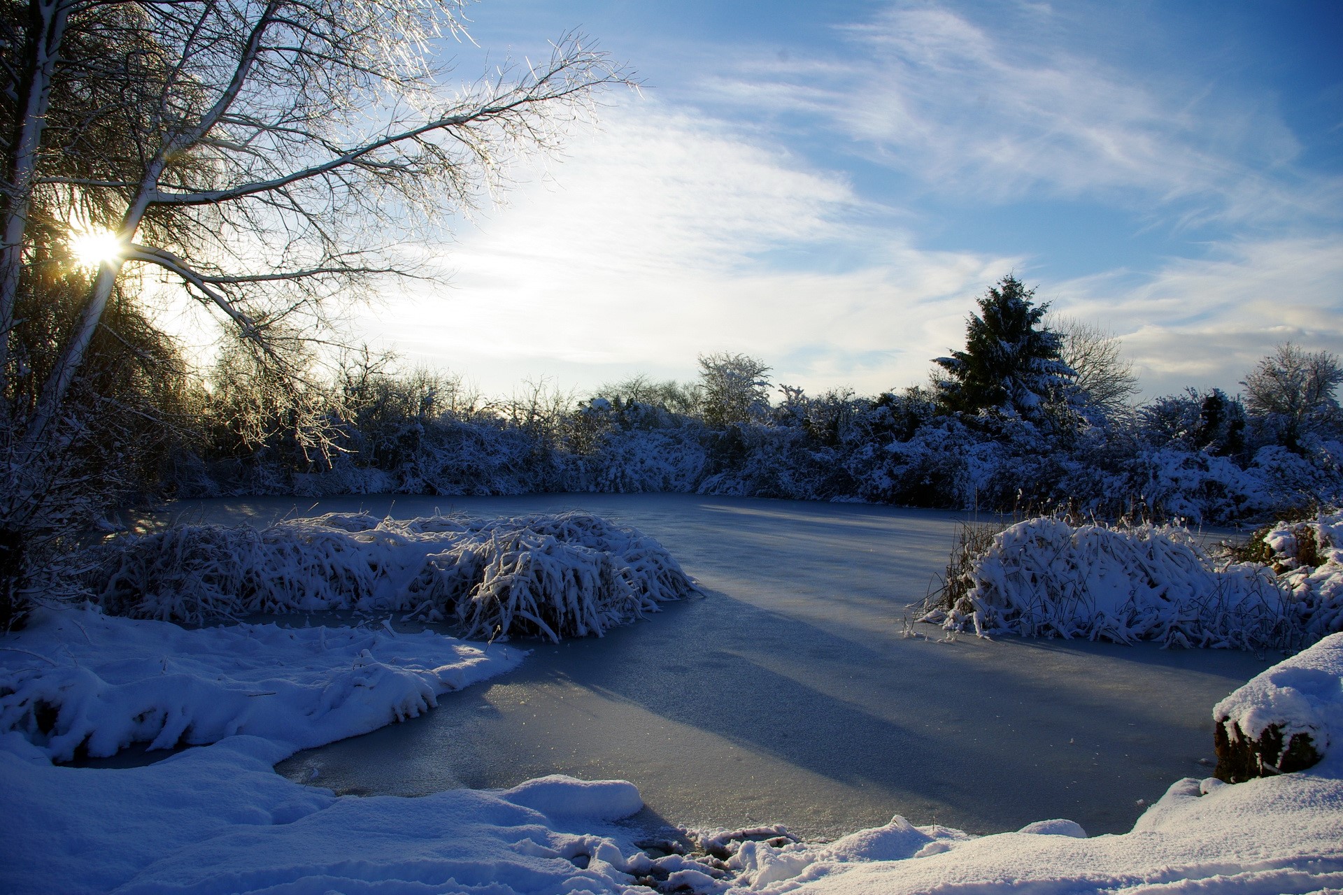 Frozen pond with snow-covered trees and sun HD Wallpaper