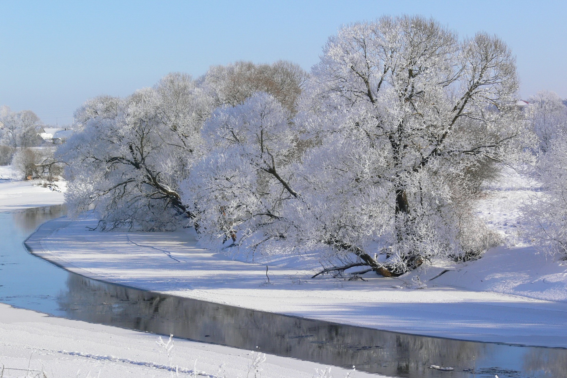 Winter scene with a river and snow-covered trees in Lithuania HD Wallpaper