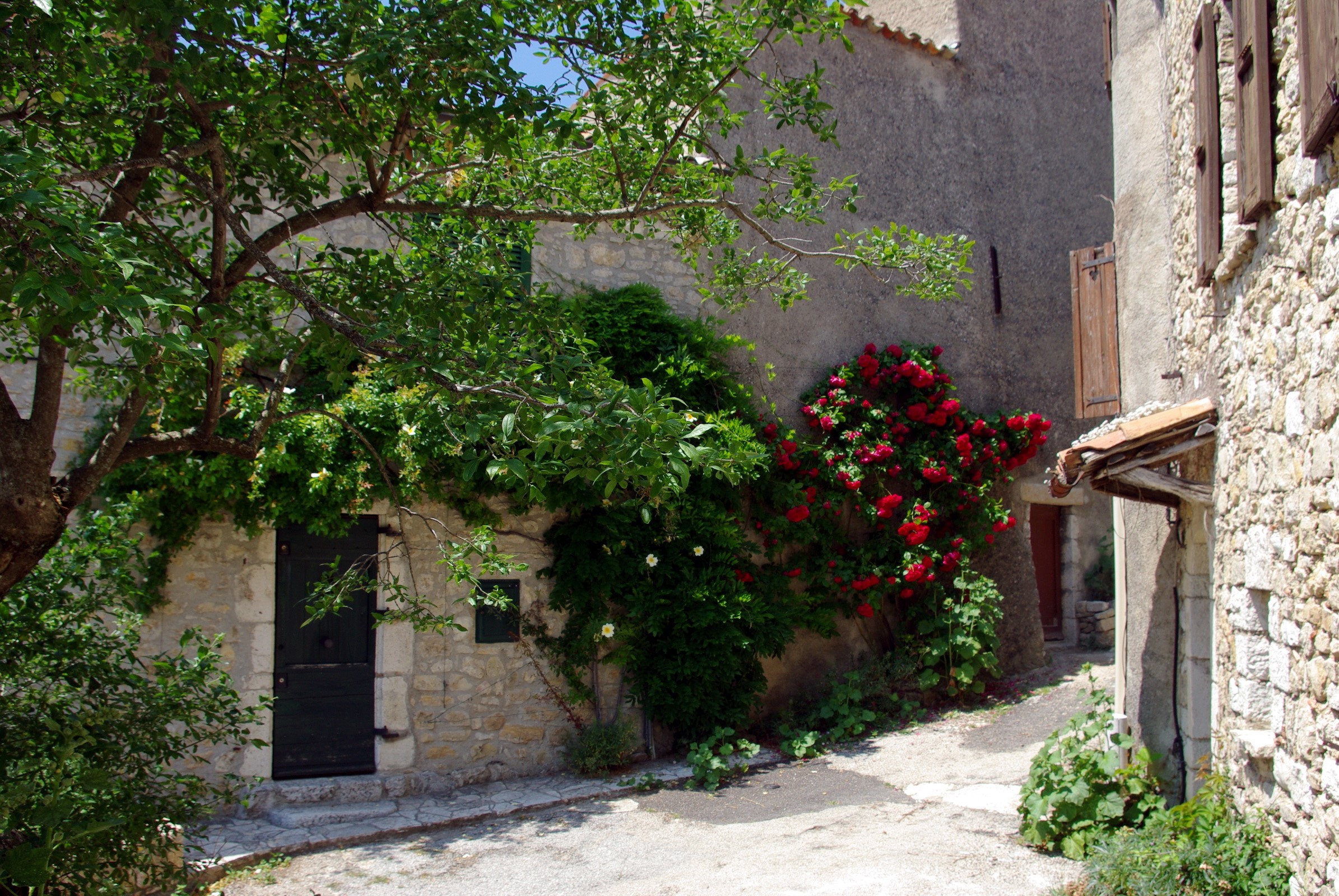Stone houses with red roses in a French village HD Wallpaper
