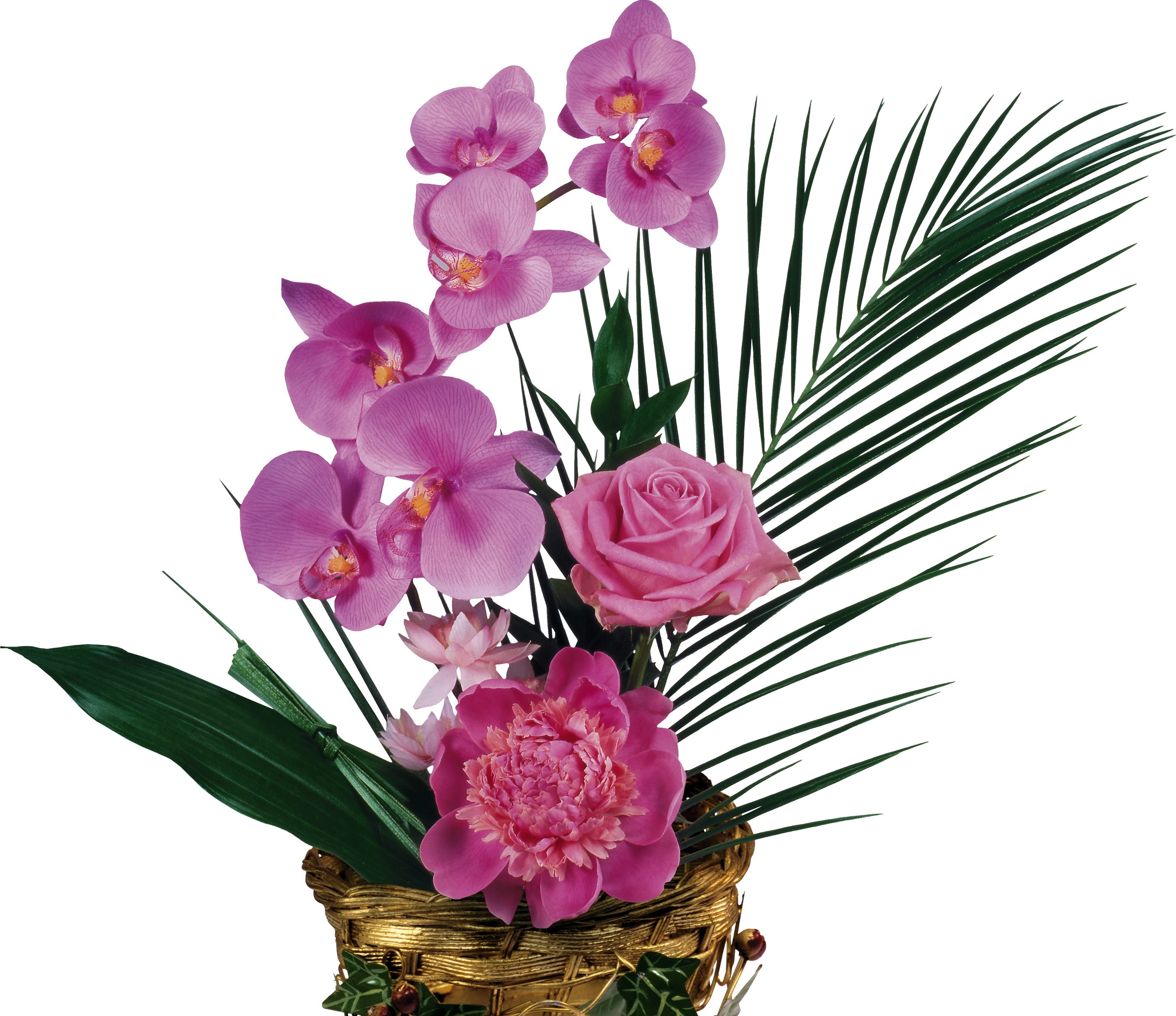 Pink orchids, rose, peony, and palm frond bouquet HD Wallpaper