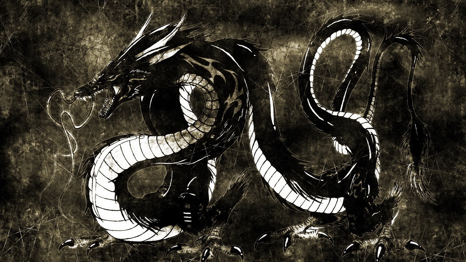 Black and white dragon illustration HD Wallpaper