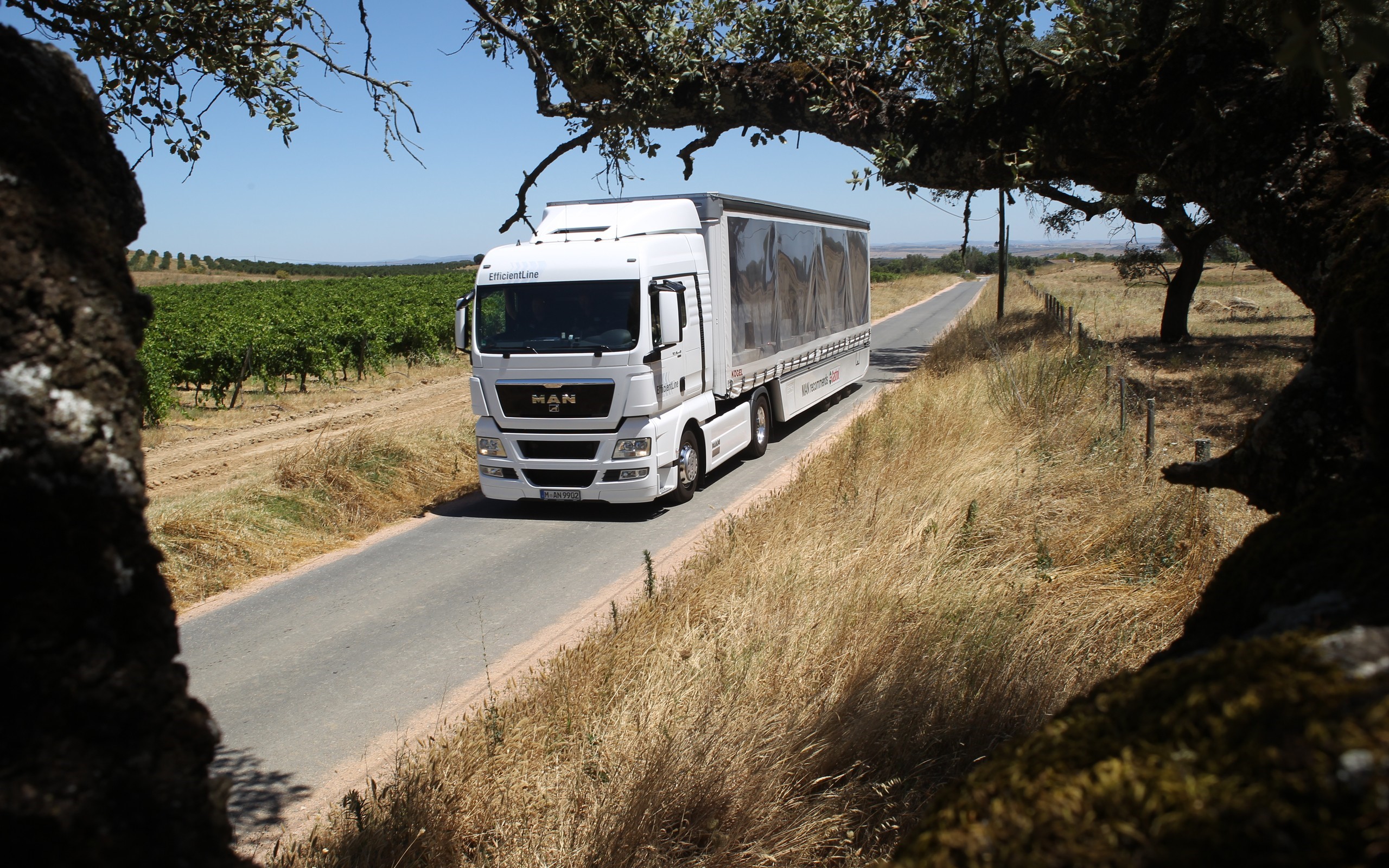White MAN Truck driving on a rural road HD Wallpaper