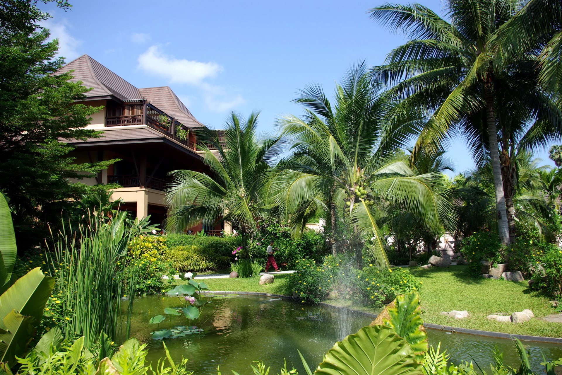 Tropical resort with pond and palm trees HD Wallpaper