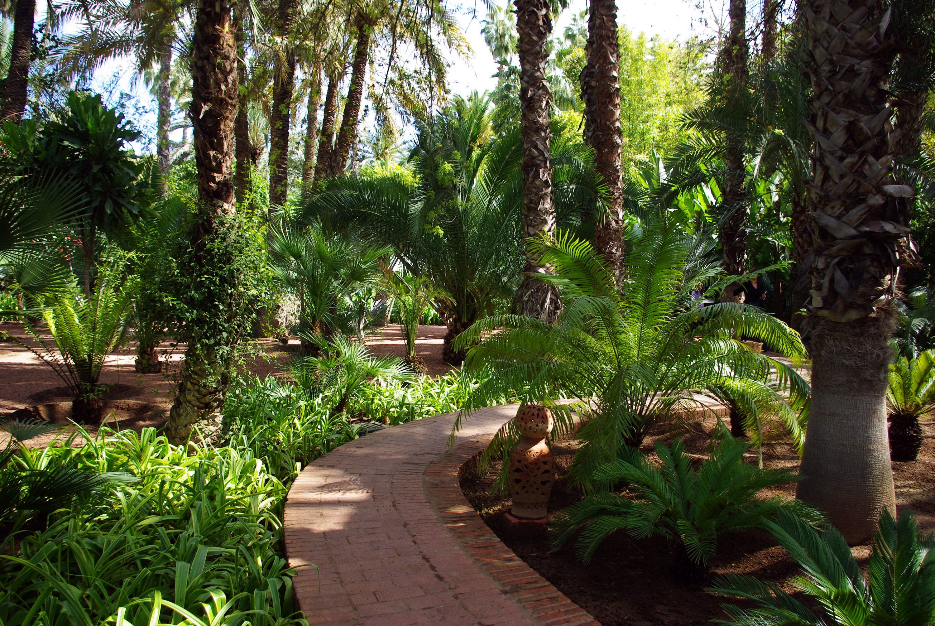 A winding brick path through a tropical garden with palm trees HD Wallpaper