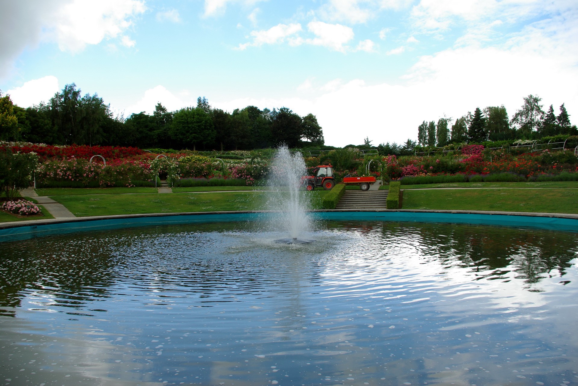 Rose garden with fountain and tractor HD Wallpaper
