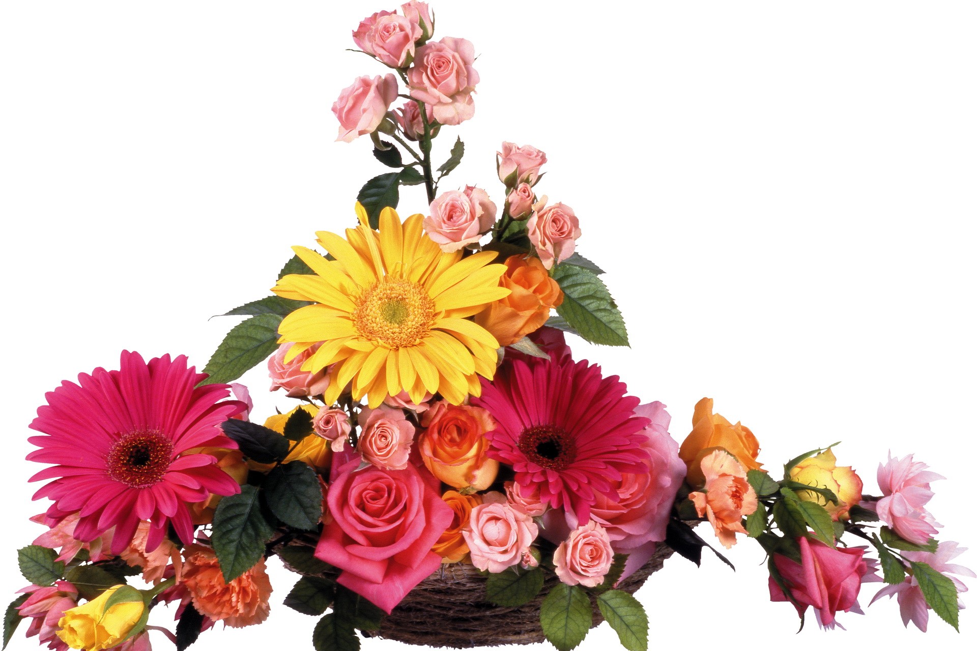 Flower Arrangement with Gerbera Daisies and Roses HD Wallpaper
