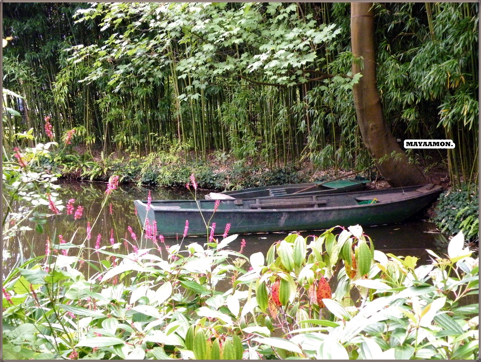 Boat in a bamboo forest park HD Wallpaper