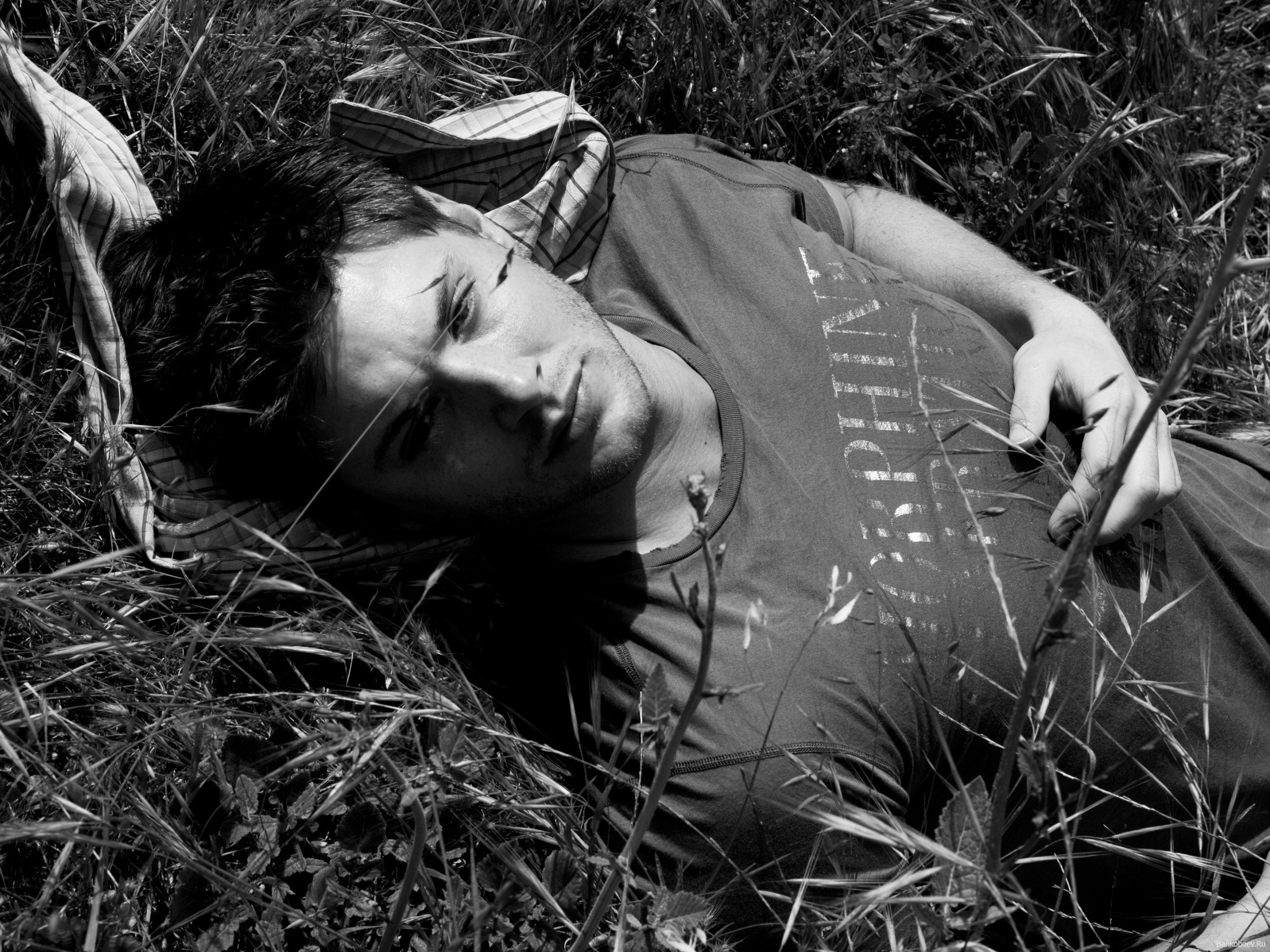 Jensen Ackles lying in grass HD Wallpaper