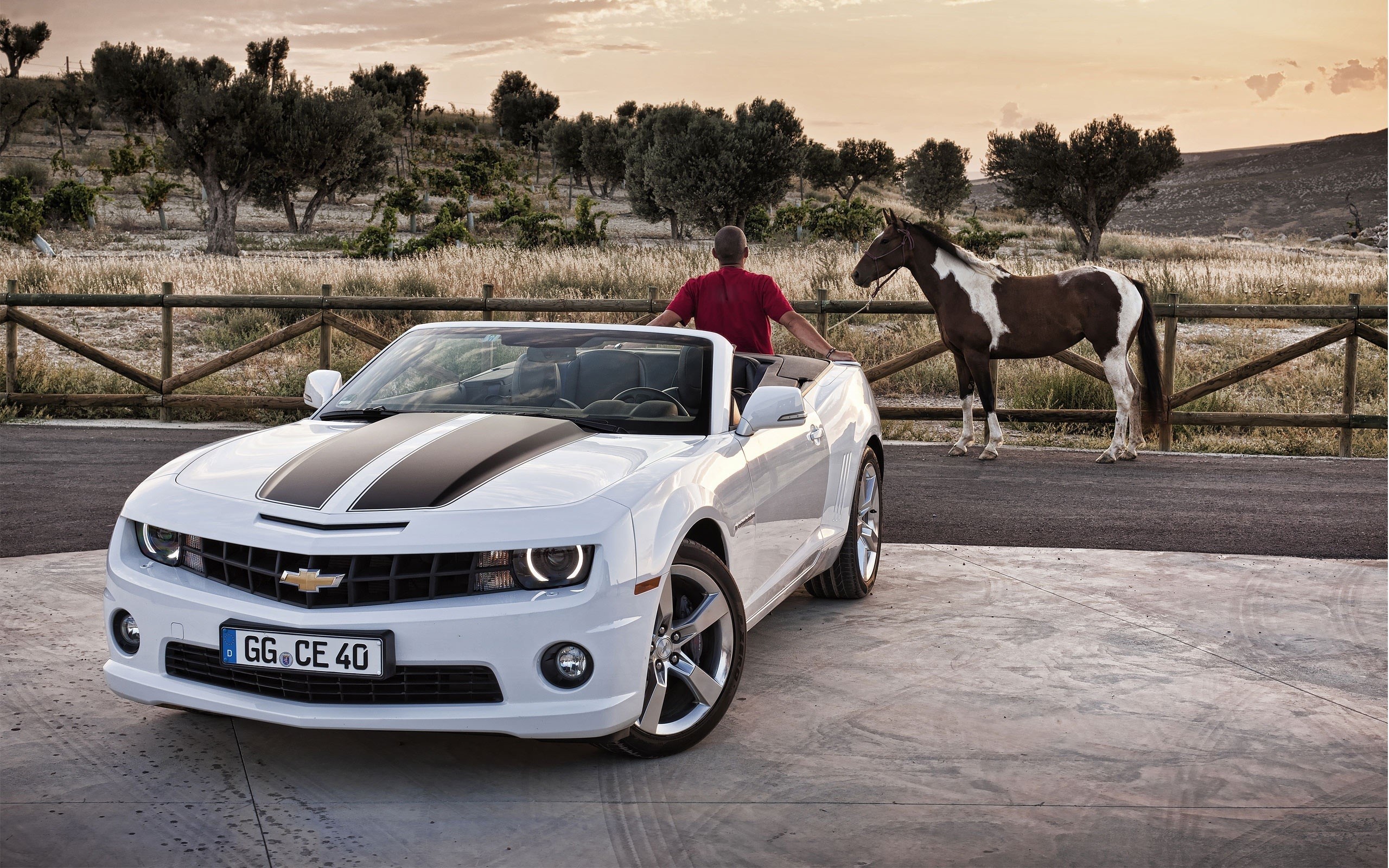 Chevrolet Camaro convertible with a man and a horse HD Wallpaper