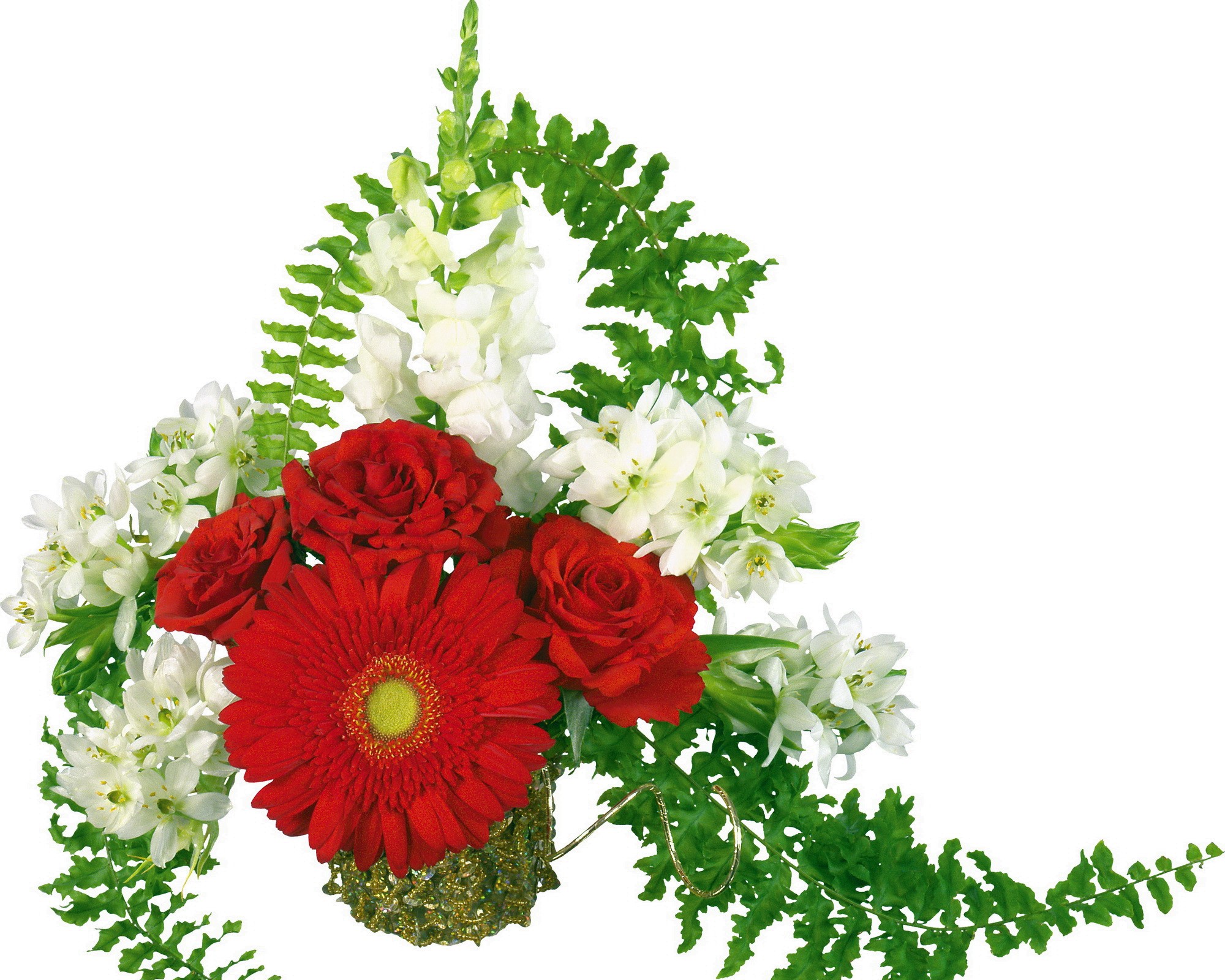 Red Gerbera Daisy and Roses Flower Arrangement HD Wallpaper