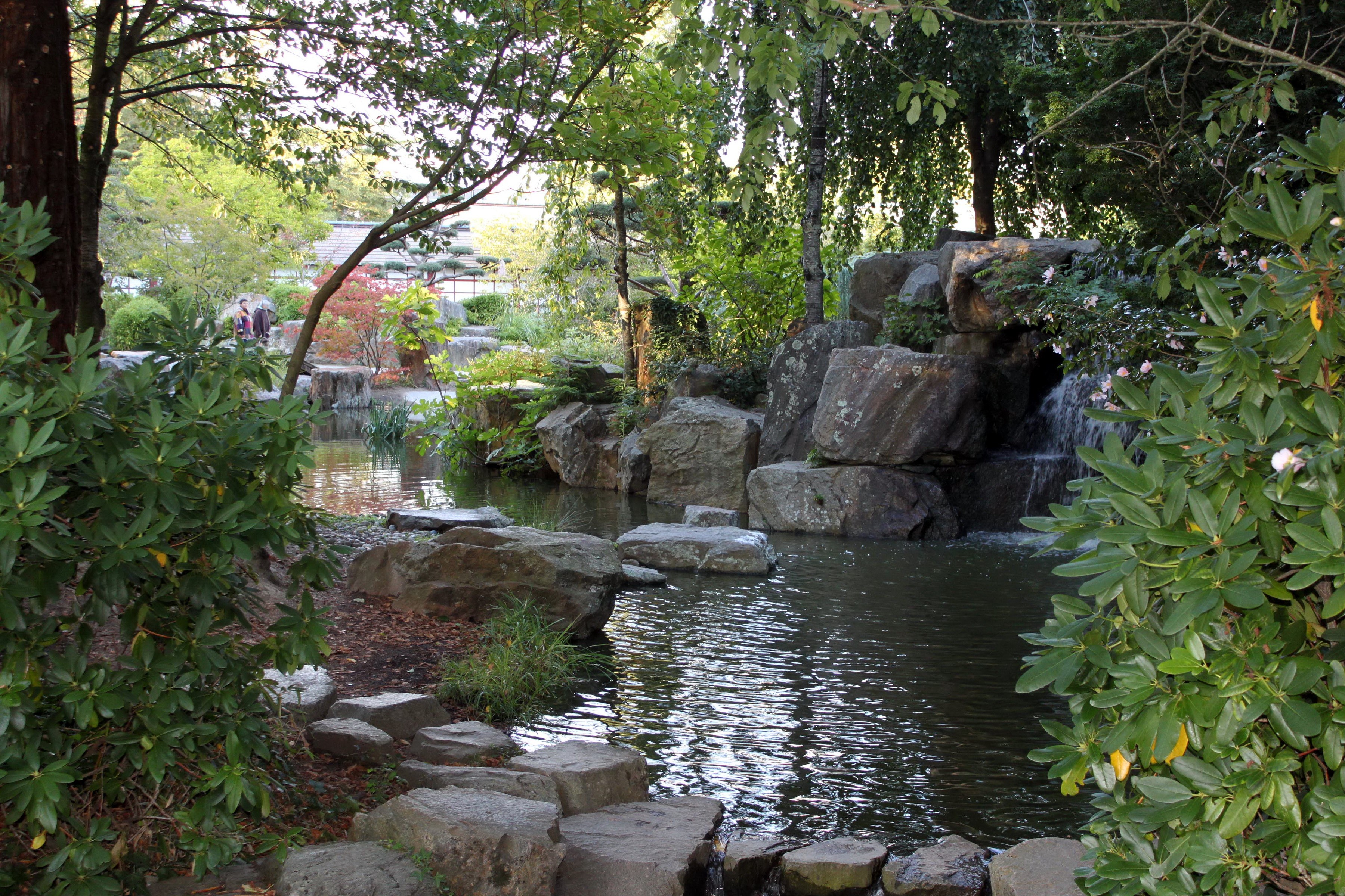 Japanese garden with pond and waterfall HD Wallpaper
