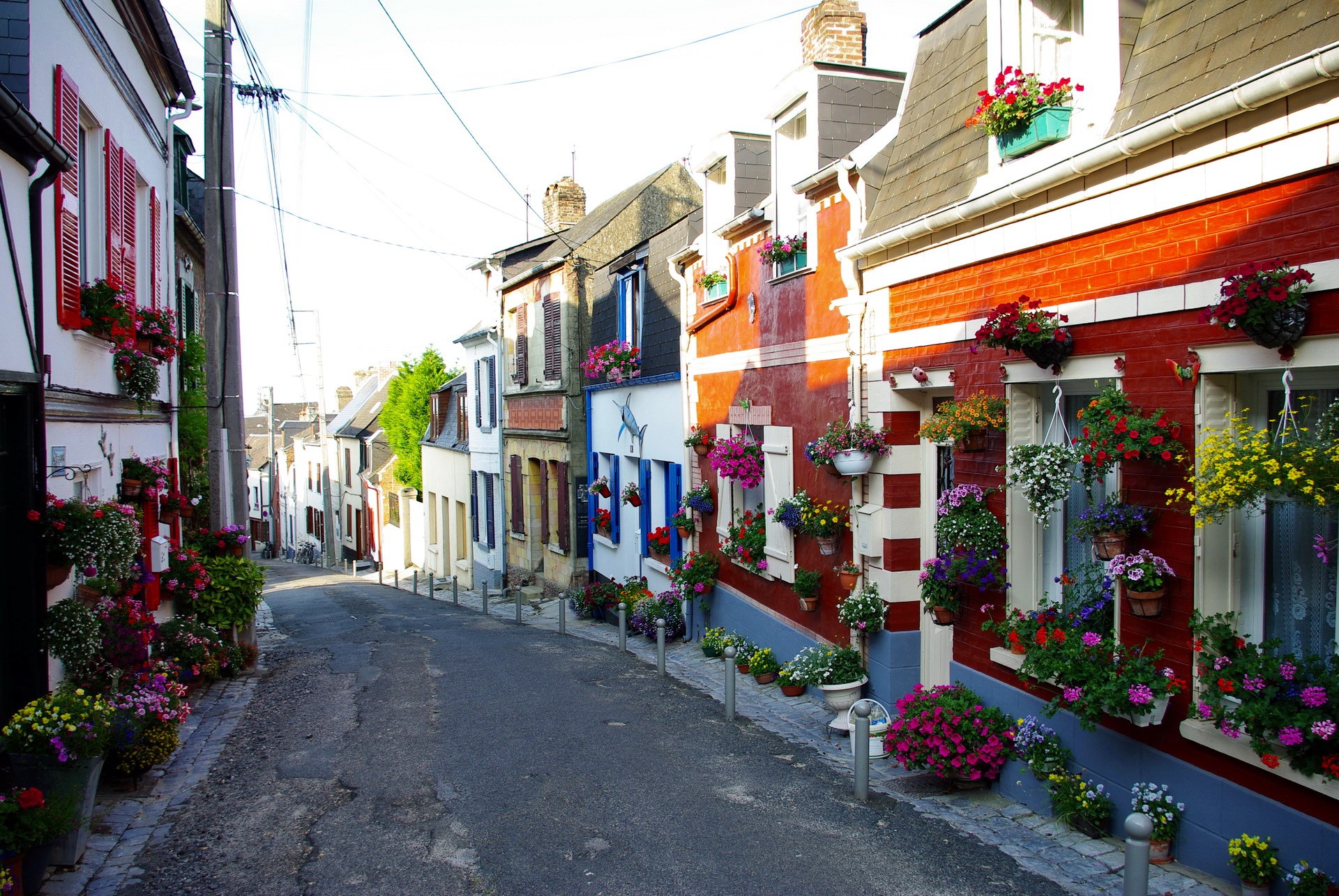 Street lined with colorful houses and flowers in France HD Wallpaper