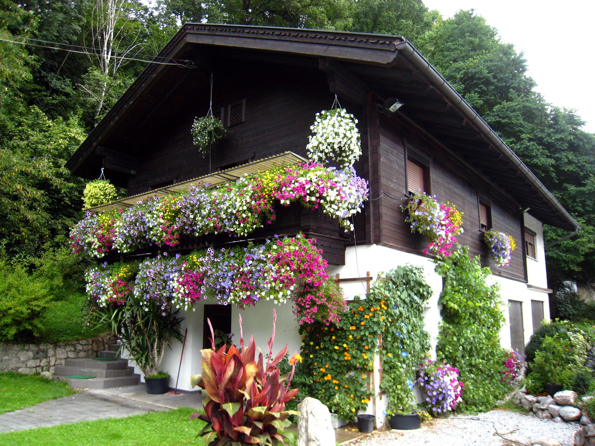 Alpine house decorated with abundant flowers in Austria HD Wallpaper