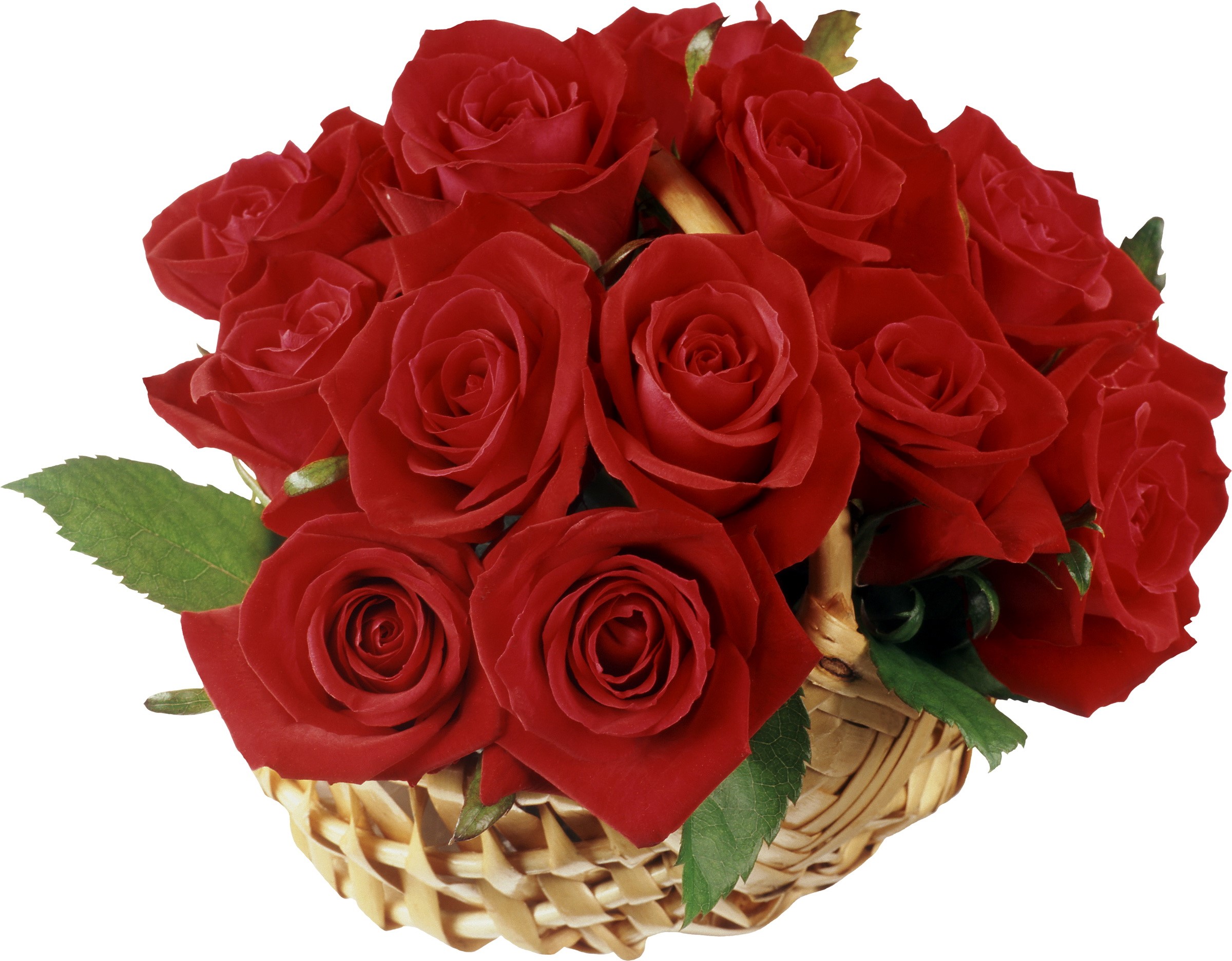 Basket of red roses HD Wallpaper