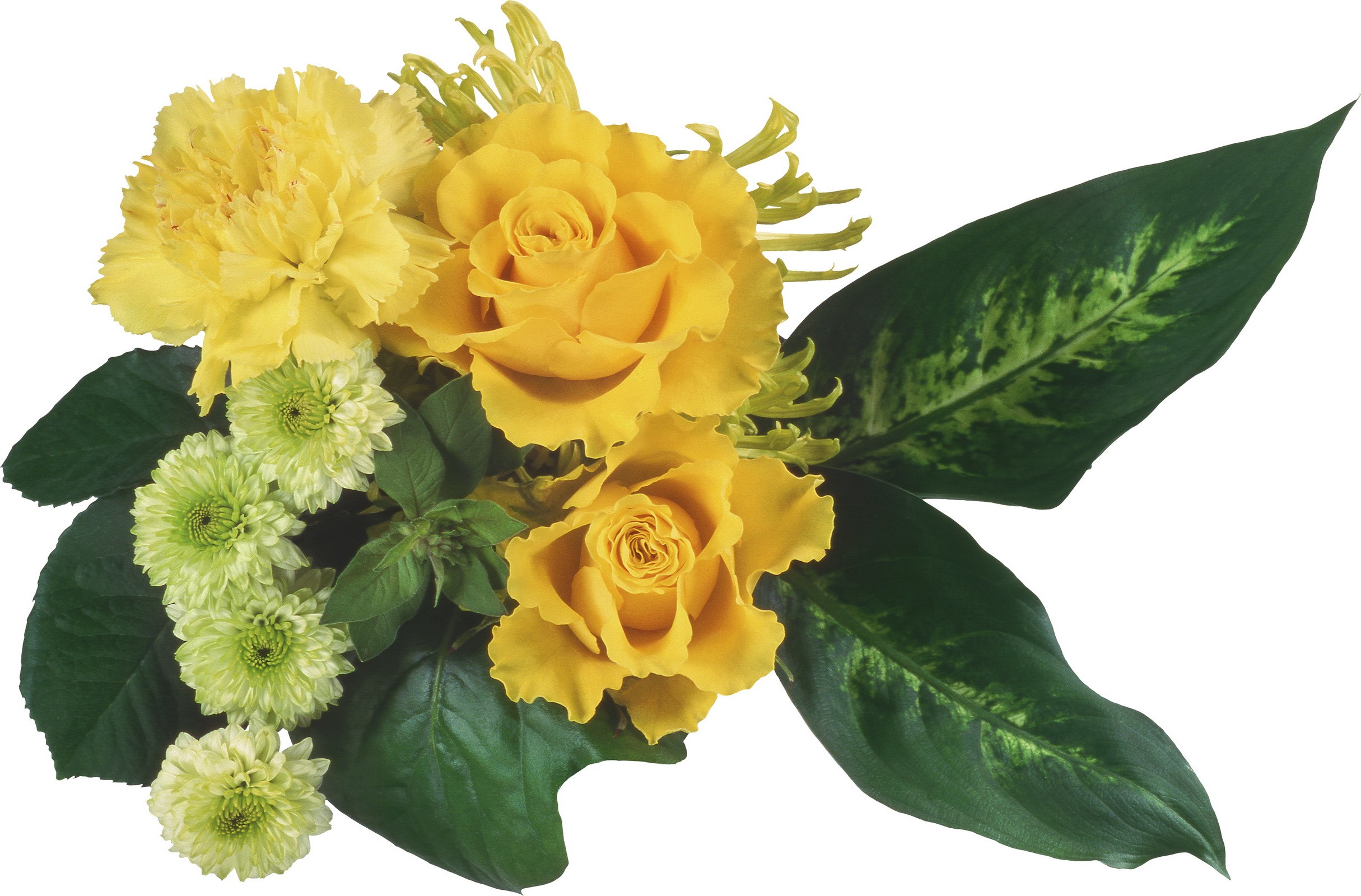 Yellow roses and carnations bouquet with green flowers and leaves HD Wallpaper