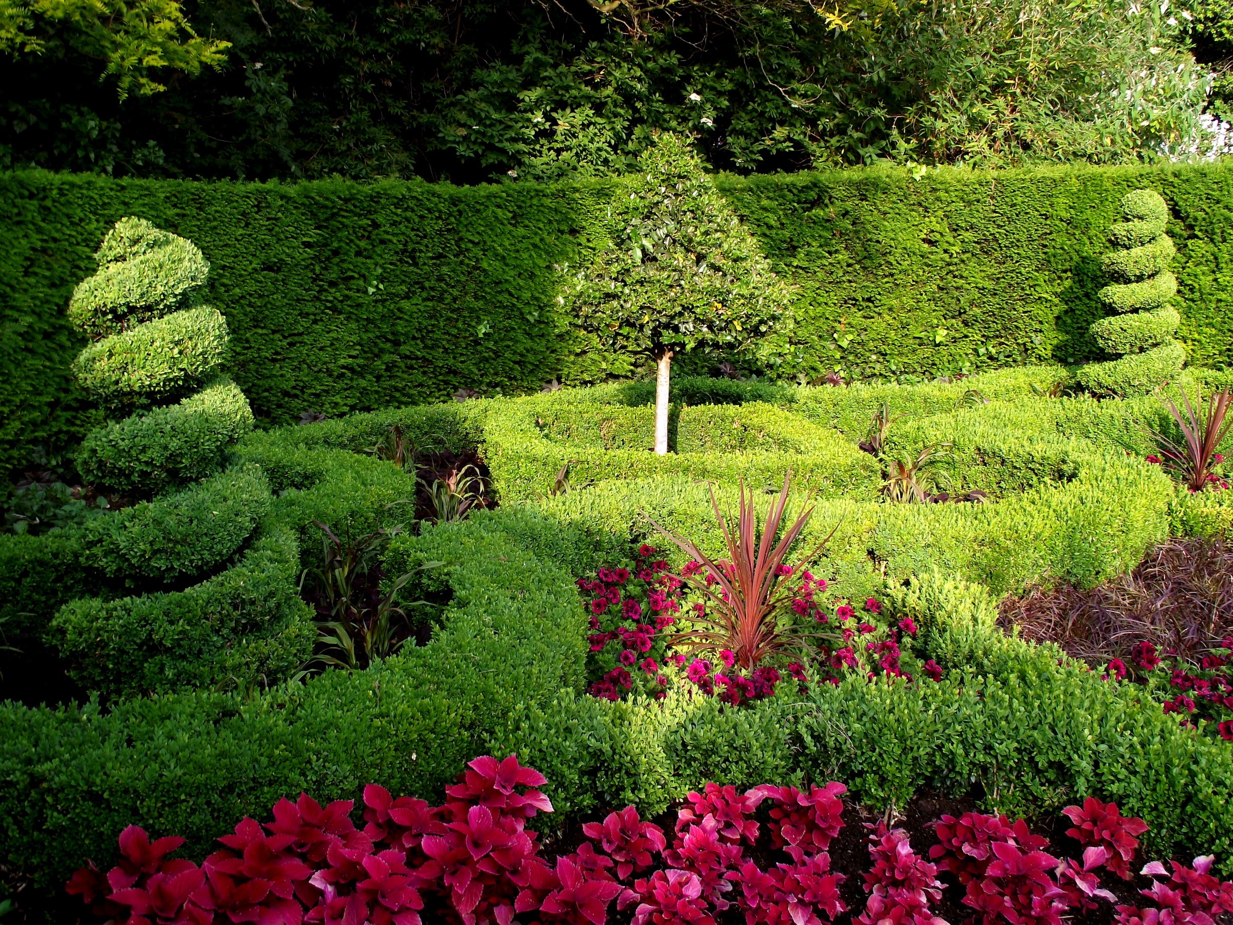 Topiary garden with spiral bushes and flowers HD Wallpaper