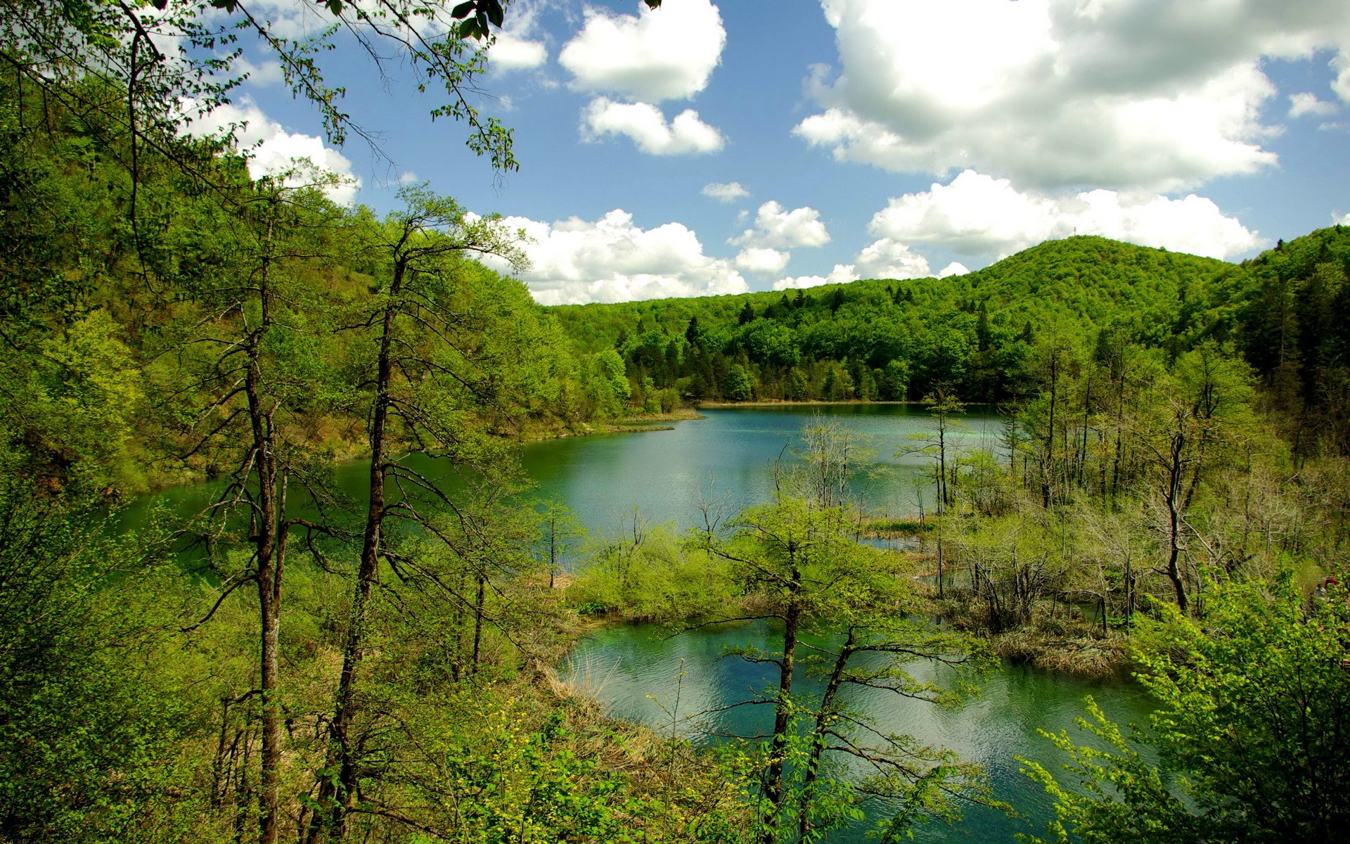 Plitvice Lakes National Park, Croatia HD Wallpaper
