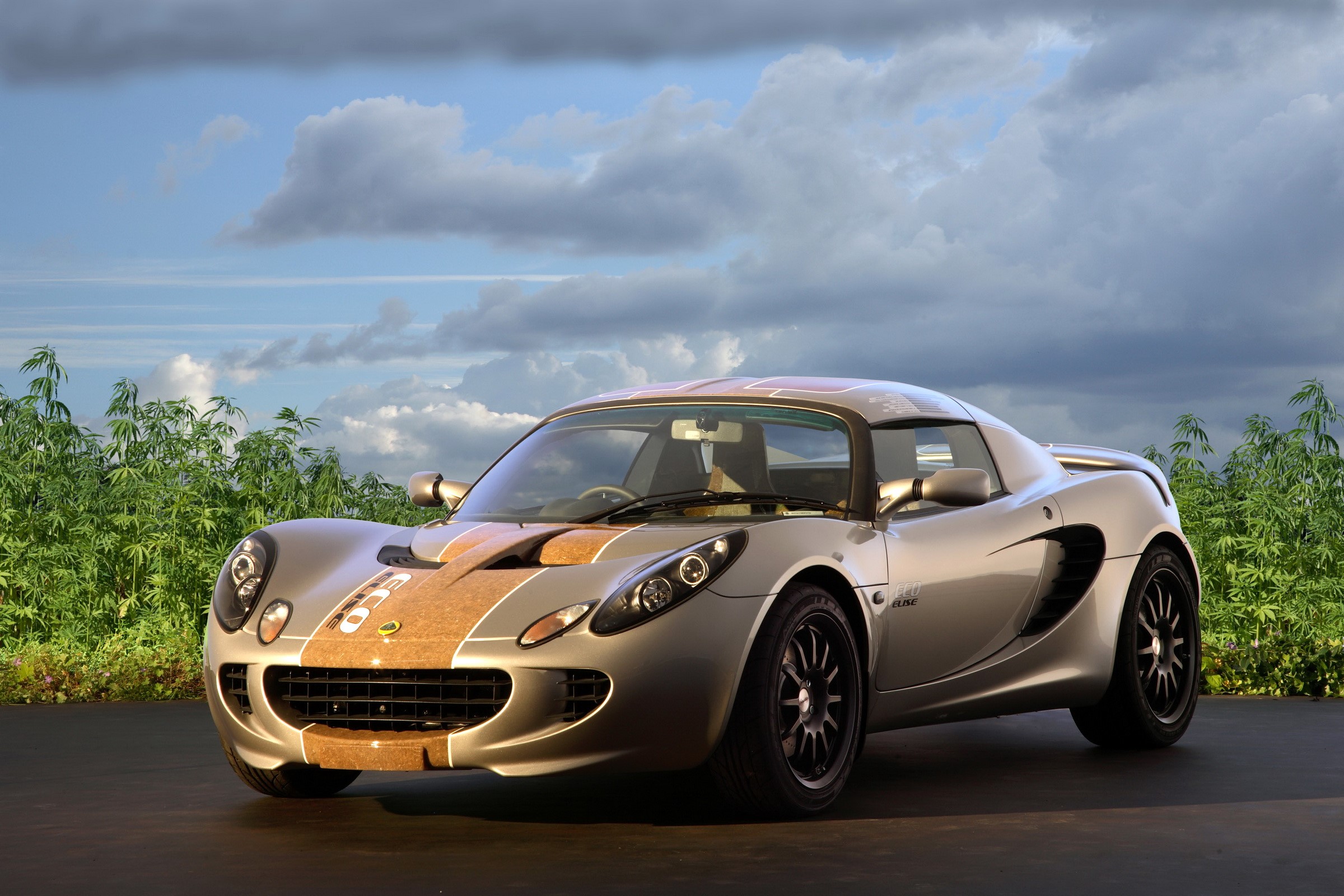 Lotus Elise car with wood-grain accents HD Wallpaper