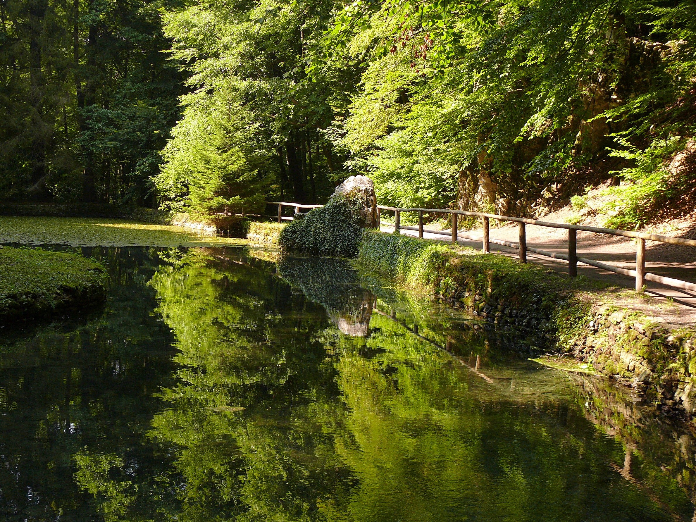 Forest lake with wooden railing and reflections HD Wallpaper