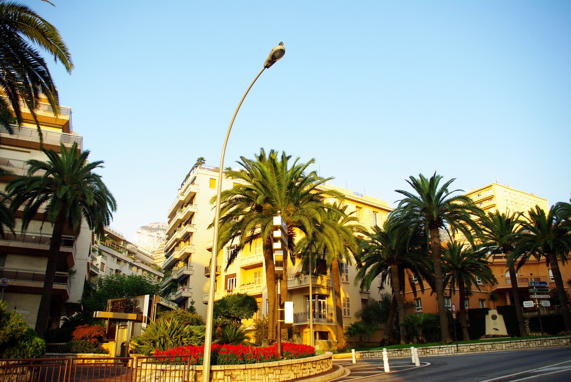 Apartment buildings and palm trees in Monaco HD Wallpaper