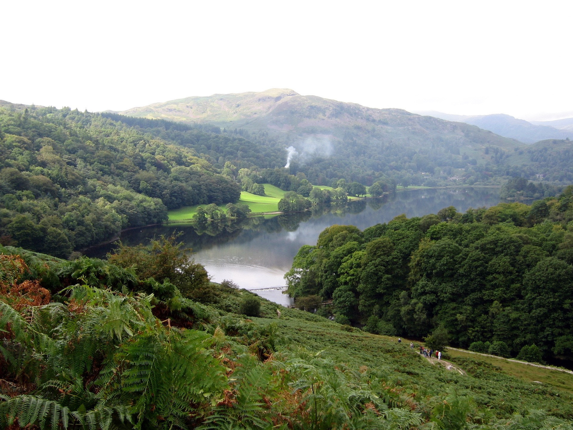 Lake surrounded by trees and hills HD Wallpaper