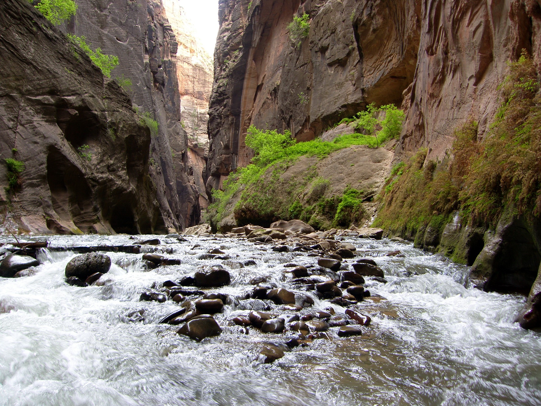 Virgin River Canyon in Zion National Park HD Wallpaper