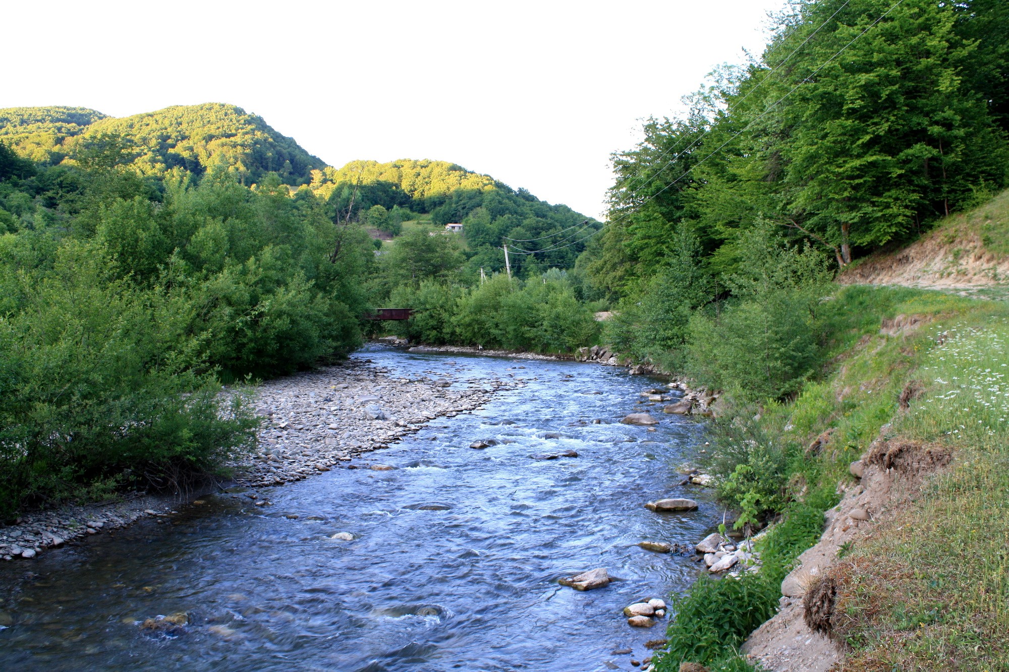 River flowing through a forest with hills HD Wallpaper