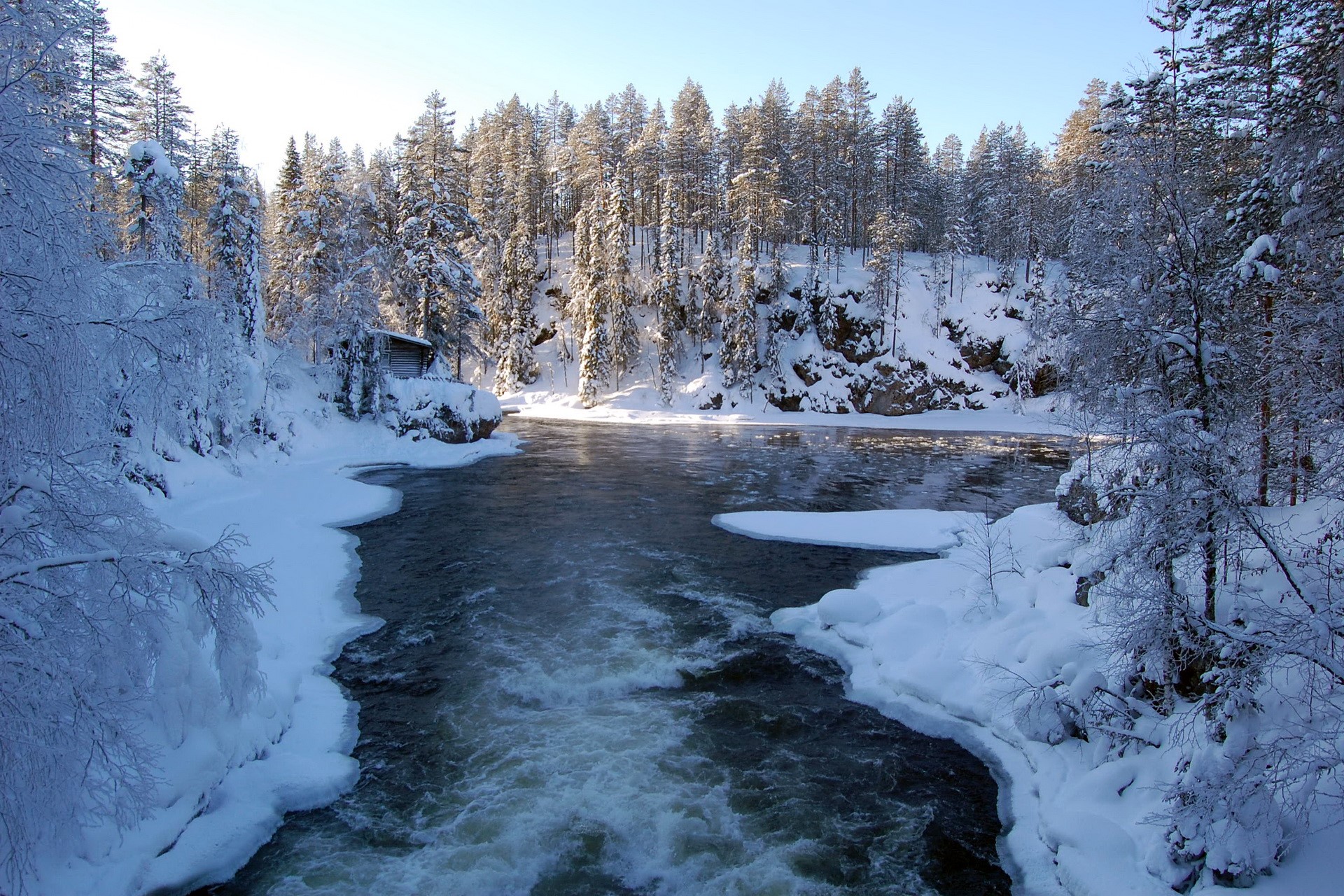 Winter river flowing through a snow-covered forest HD Wallpaper