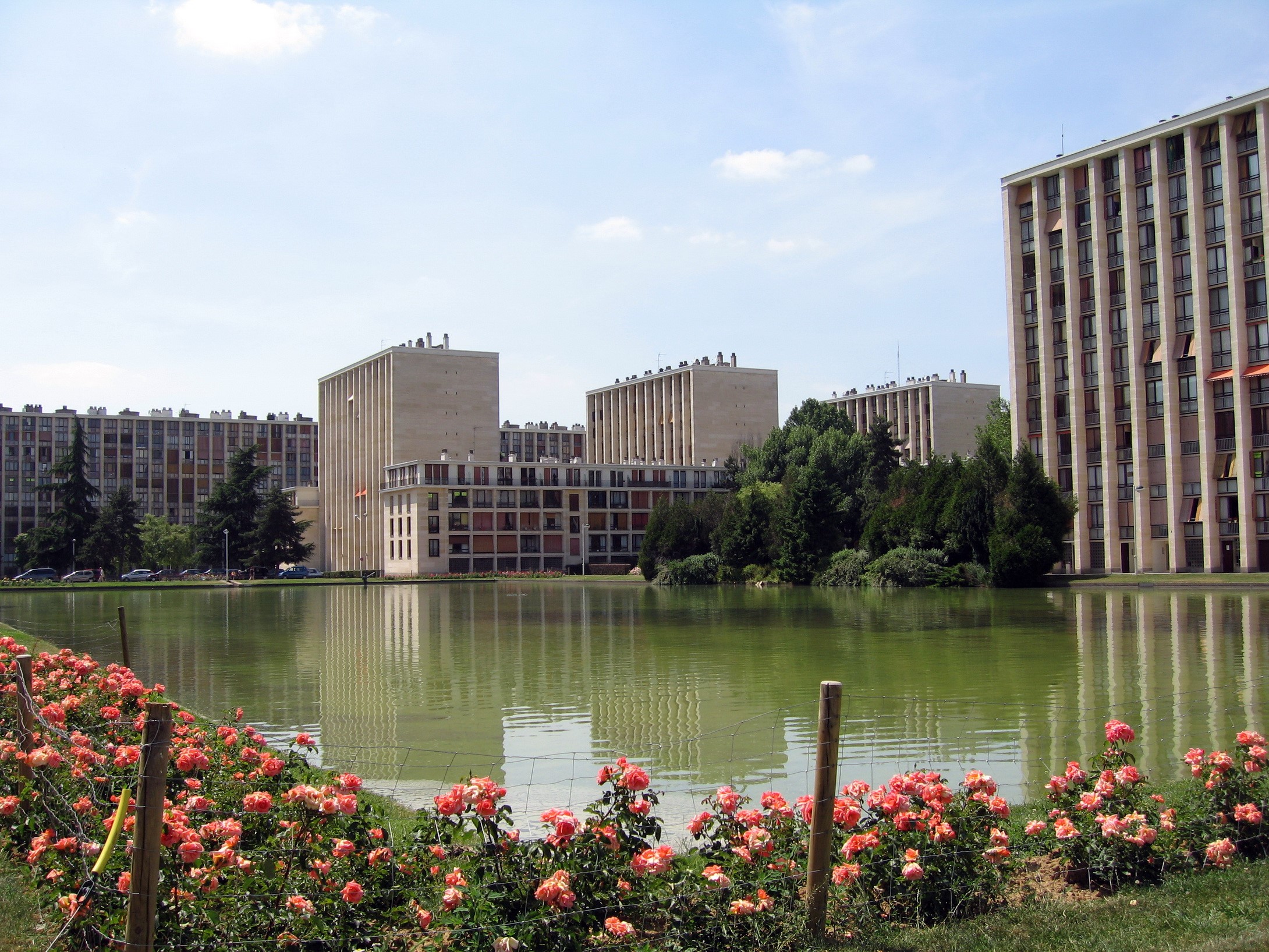 Apartment buildings reflected in a pond with roses in France HD Wallpaper