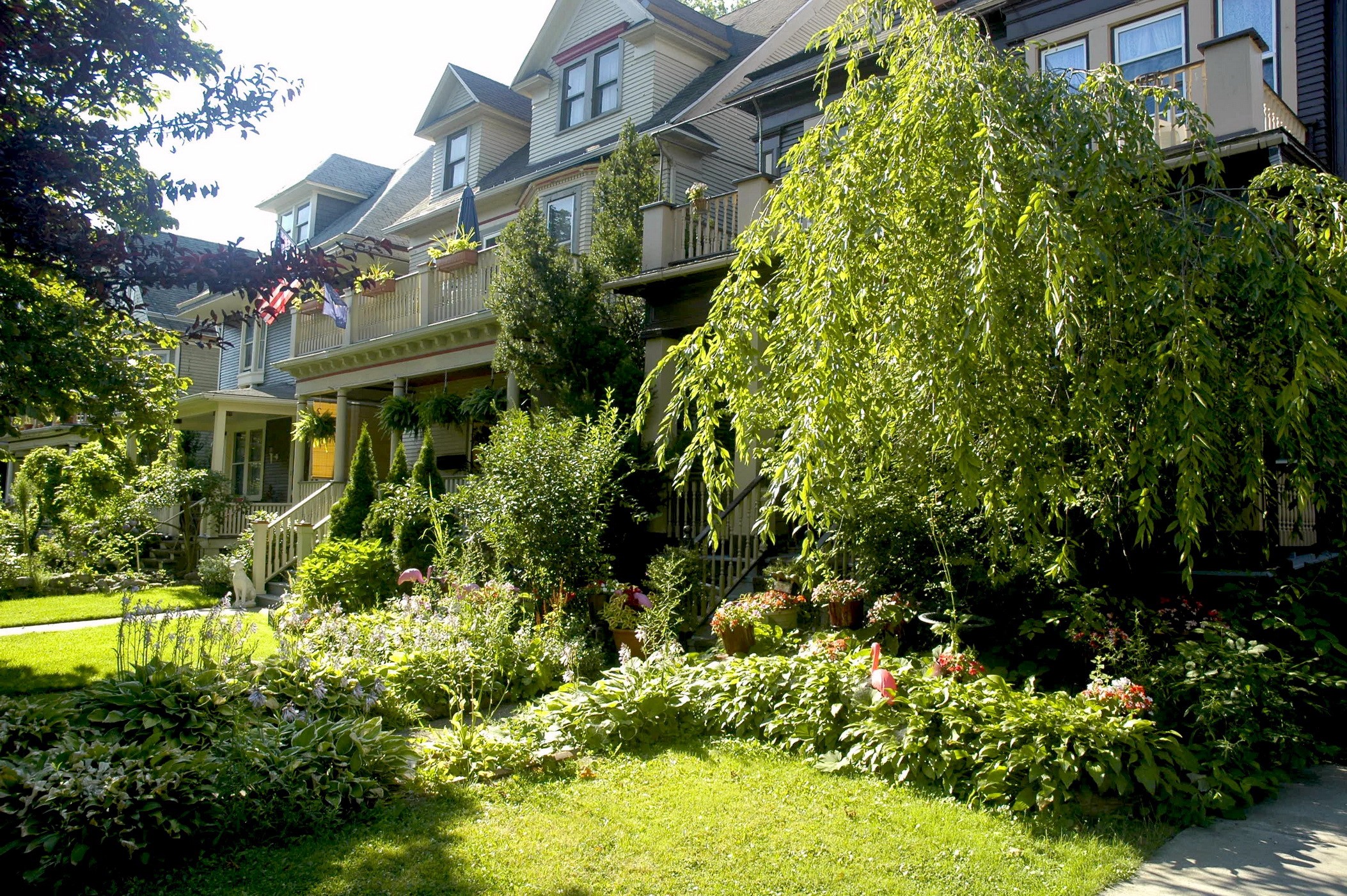 Row of houses with lush gardens in Canada HD Wallpaper
