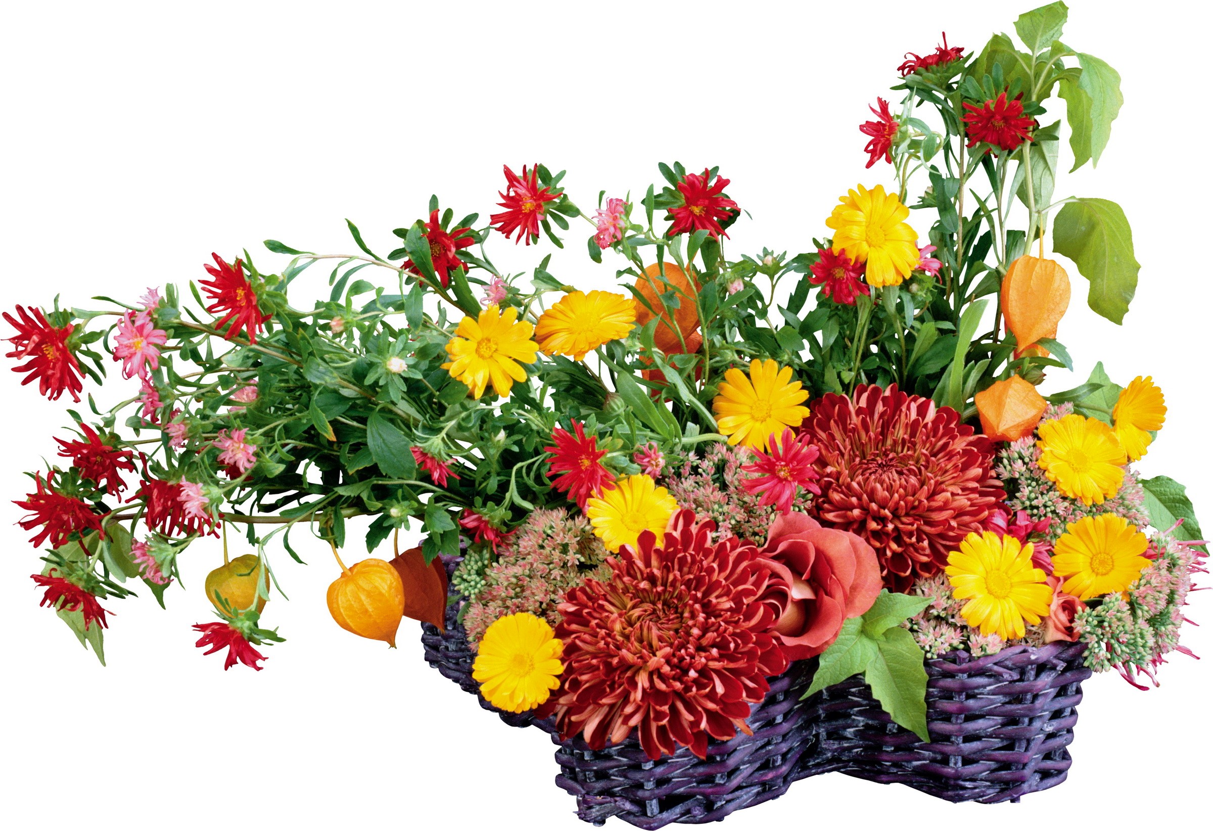 Autumn flower arrangement in a woven basket HD Wallpaper