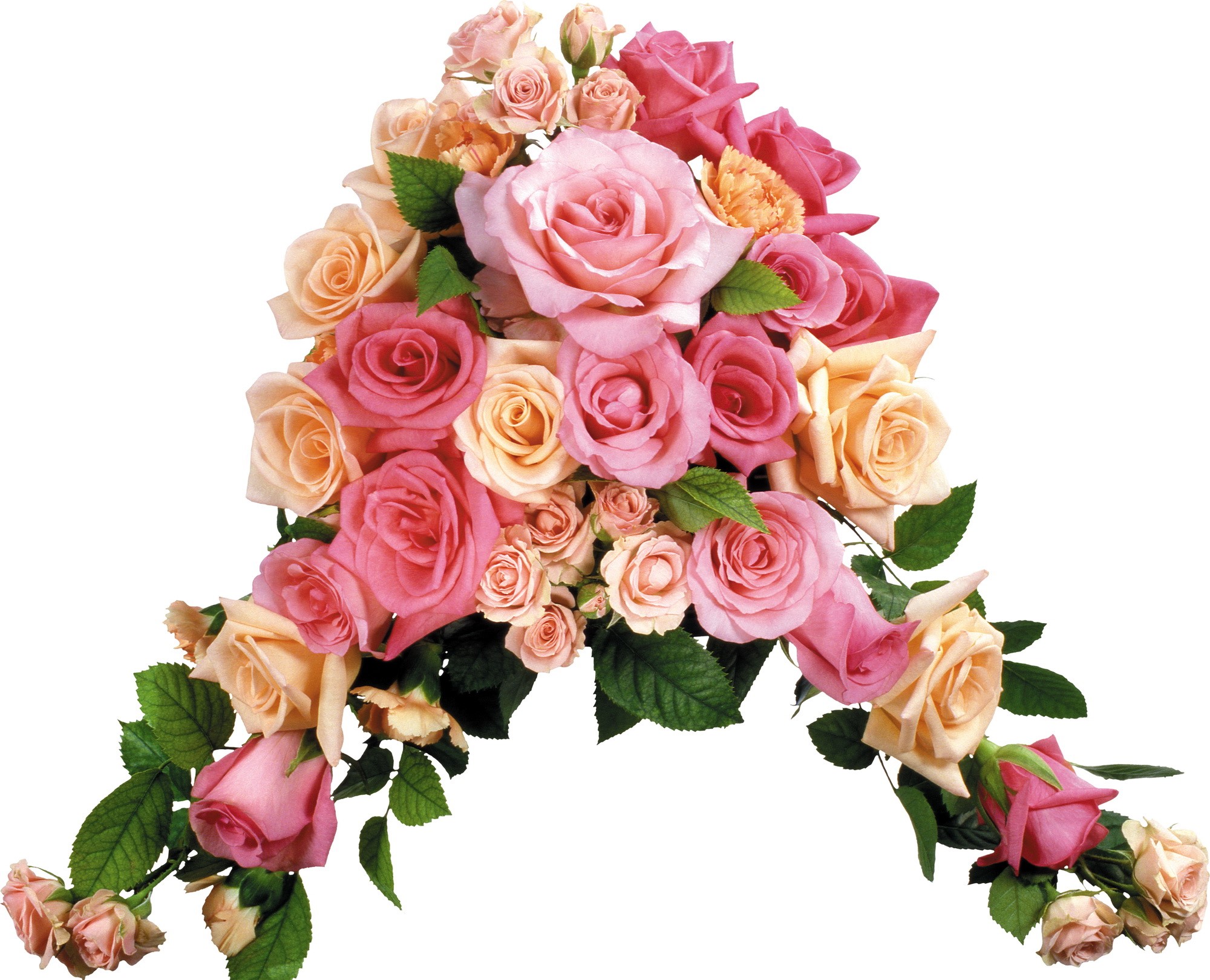 A cascading bouquet of pink and peach roses HD Wallpaper