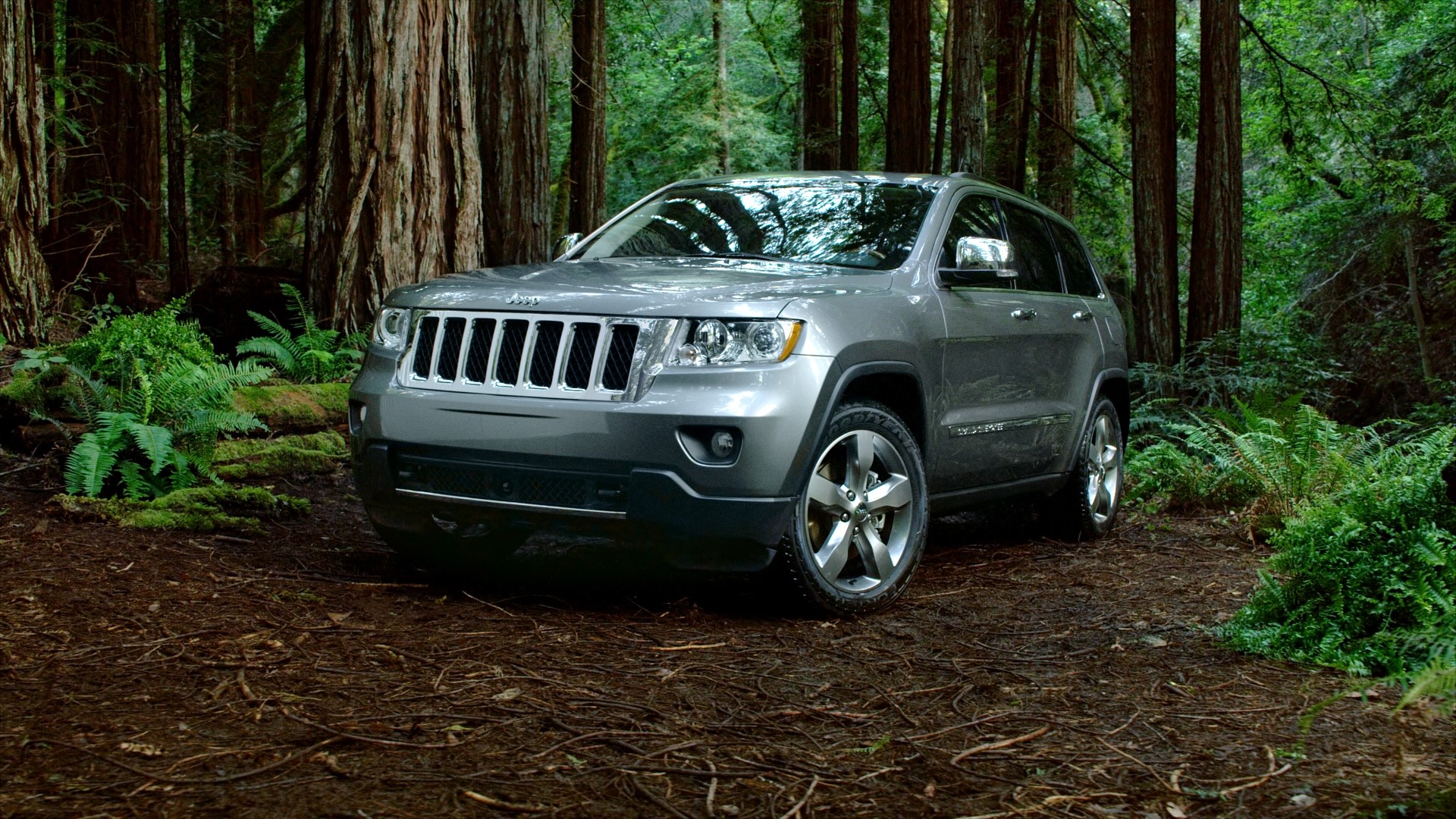 Gray Jeep Grand Cherokee in a Forest HD Wallpaper